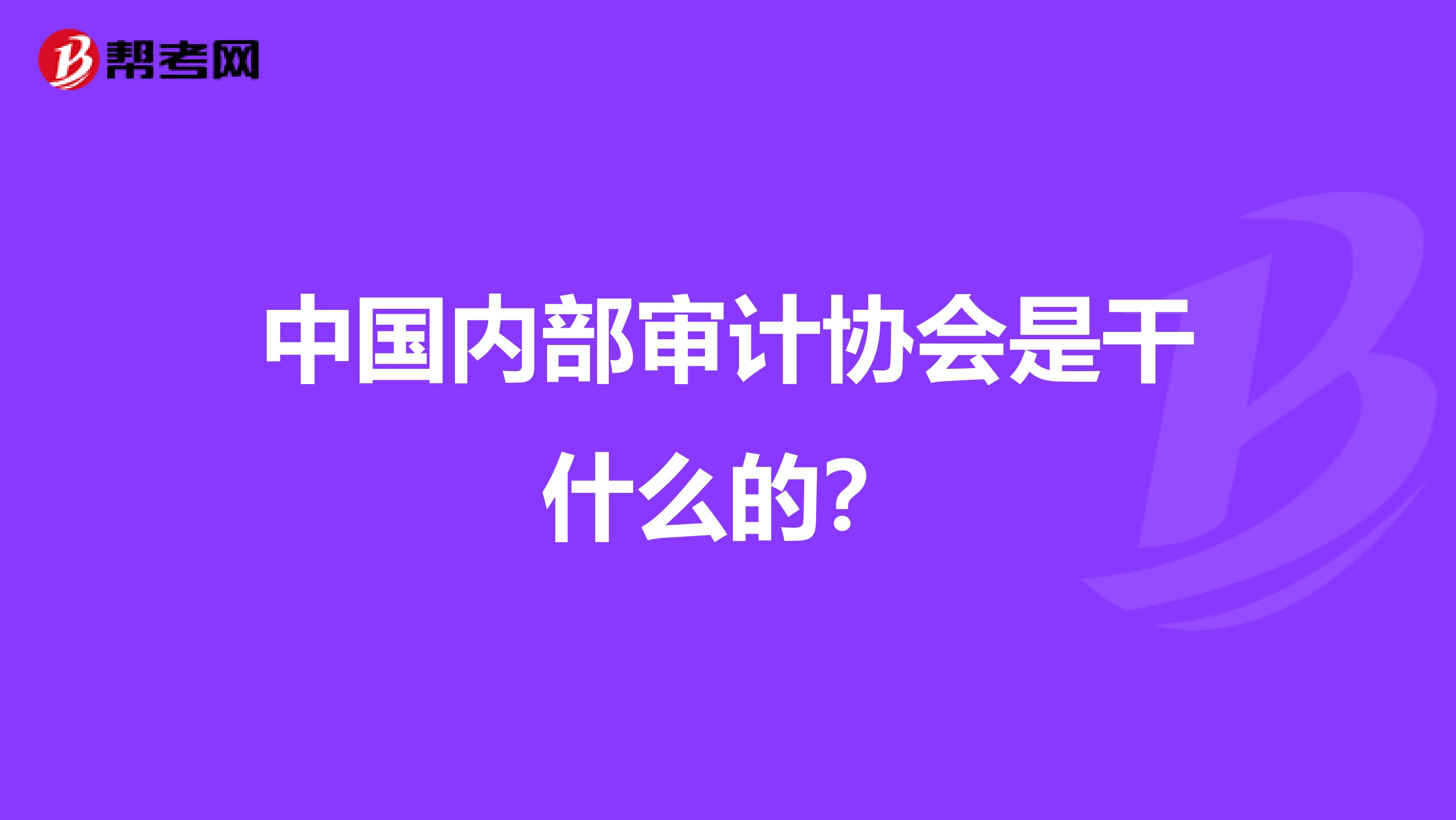 中国内部审计协会是干什么的?