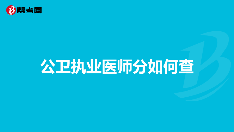 公卫执业医师分如何查