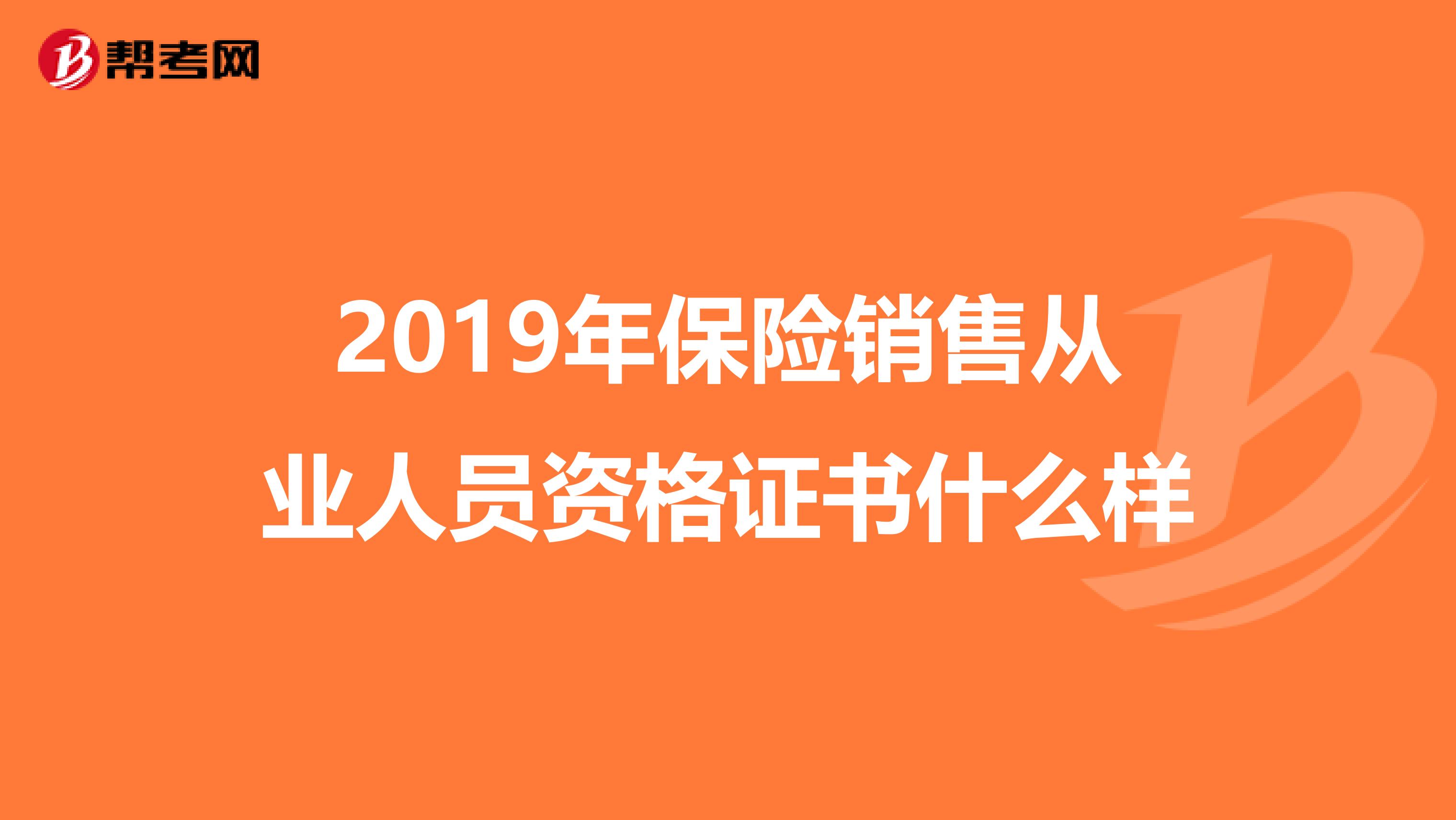 2019年保险销售从业人员资格证书什么样
