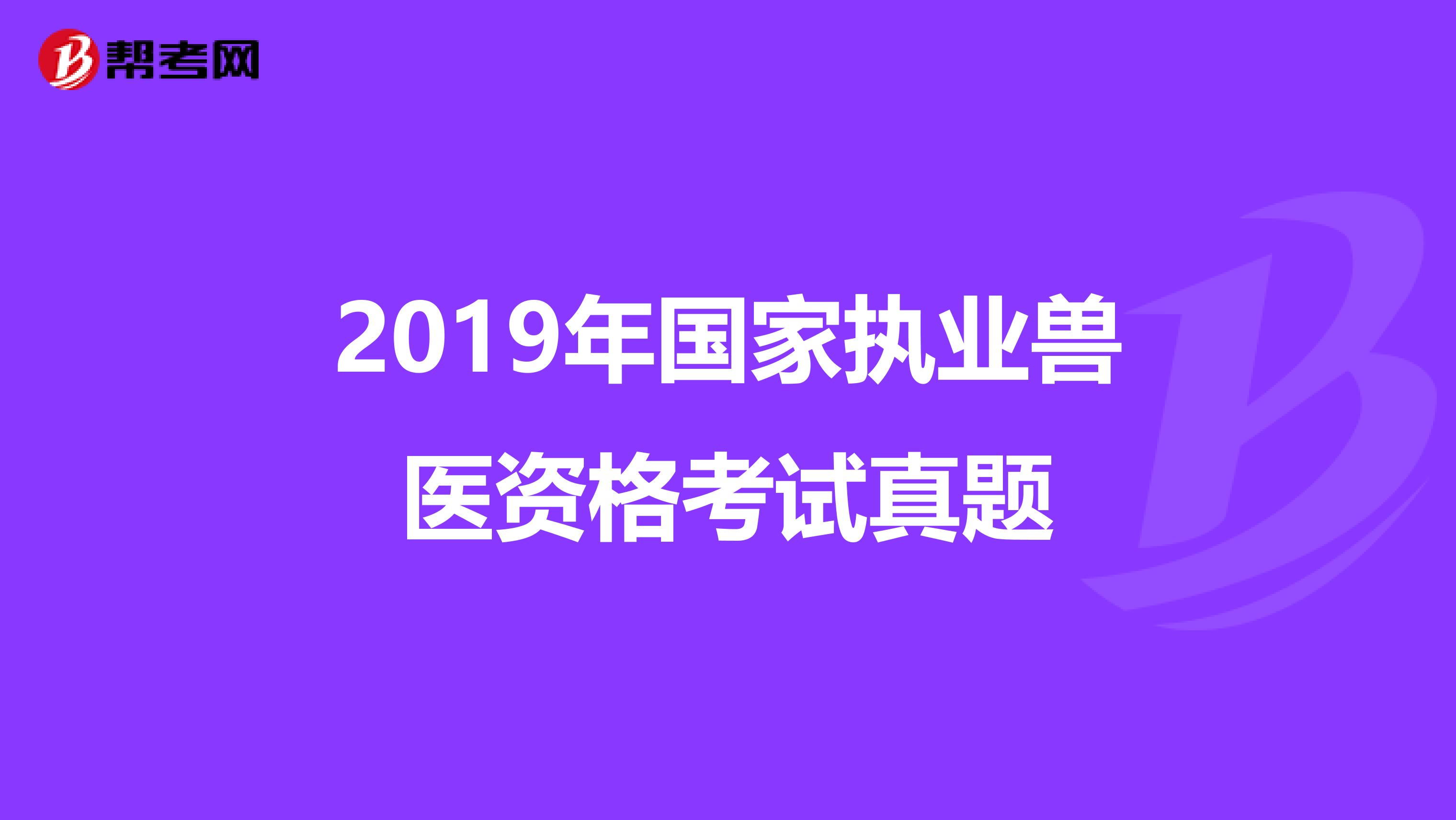 2019年国家执业兽医资格考试真题