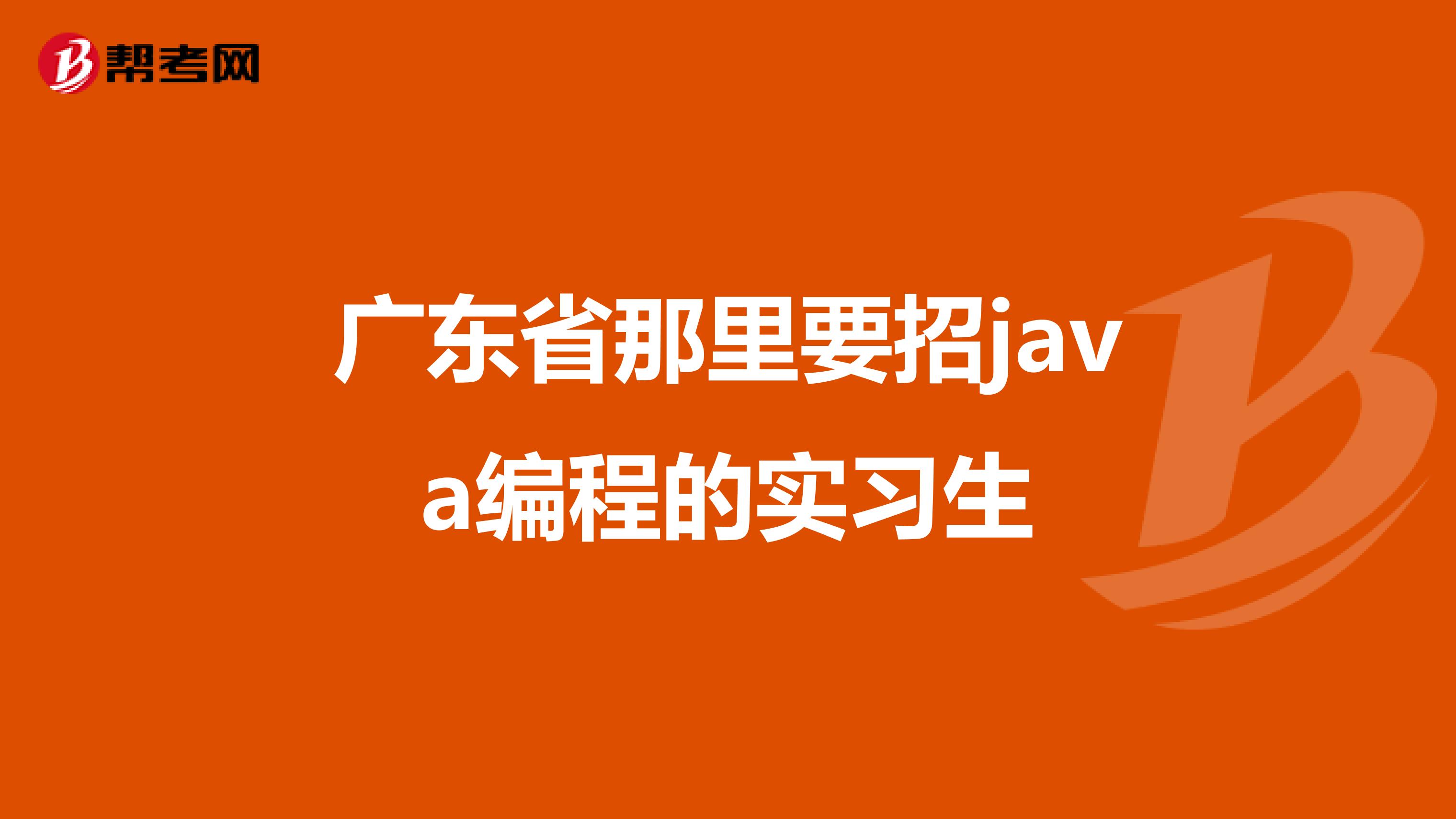 广东省那里要招java编程的实习生