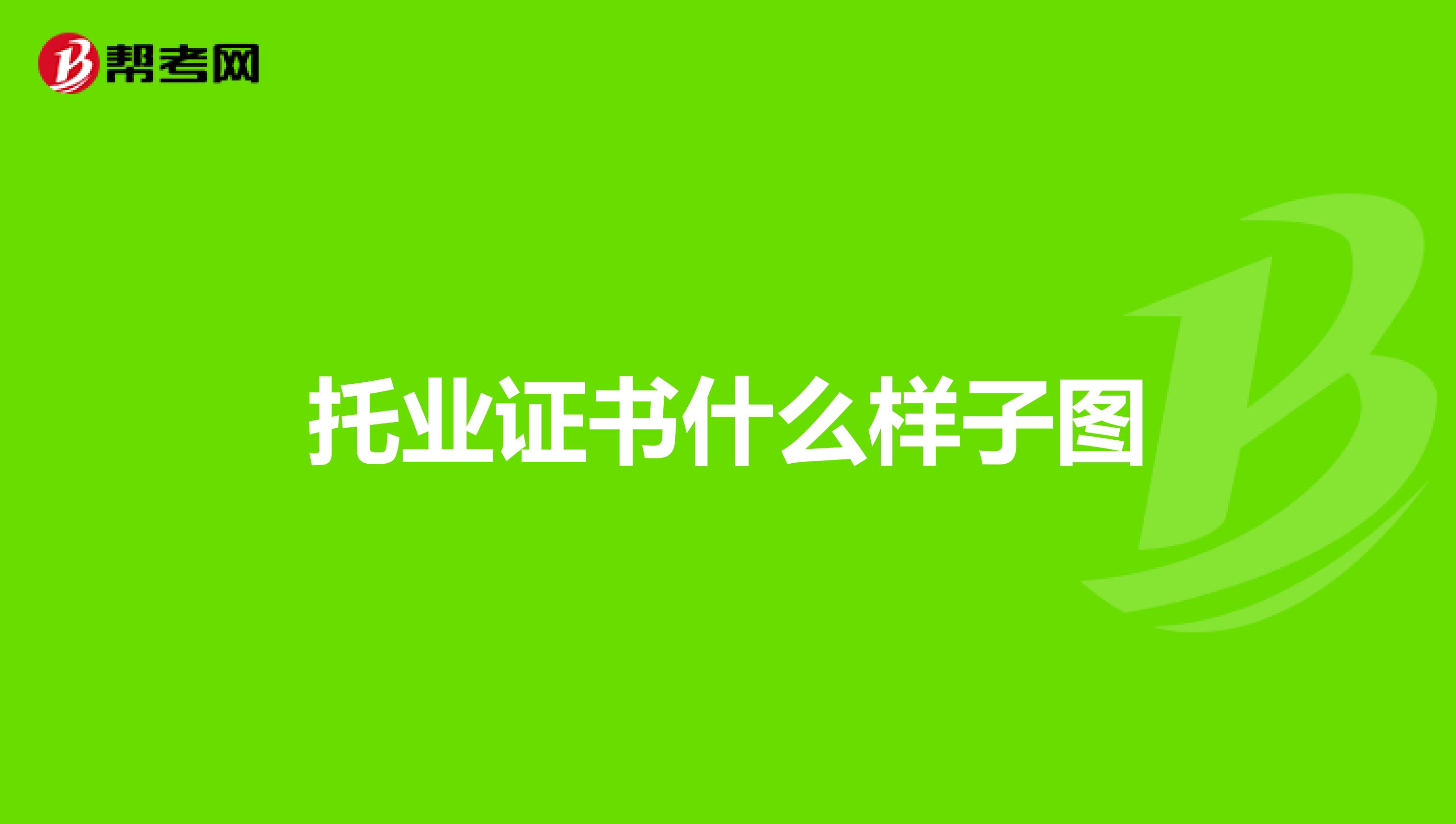 托业证书什么样子图