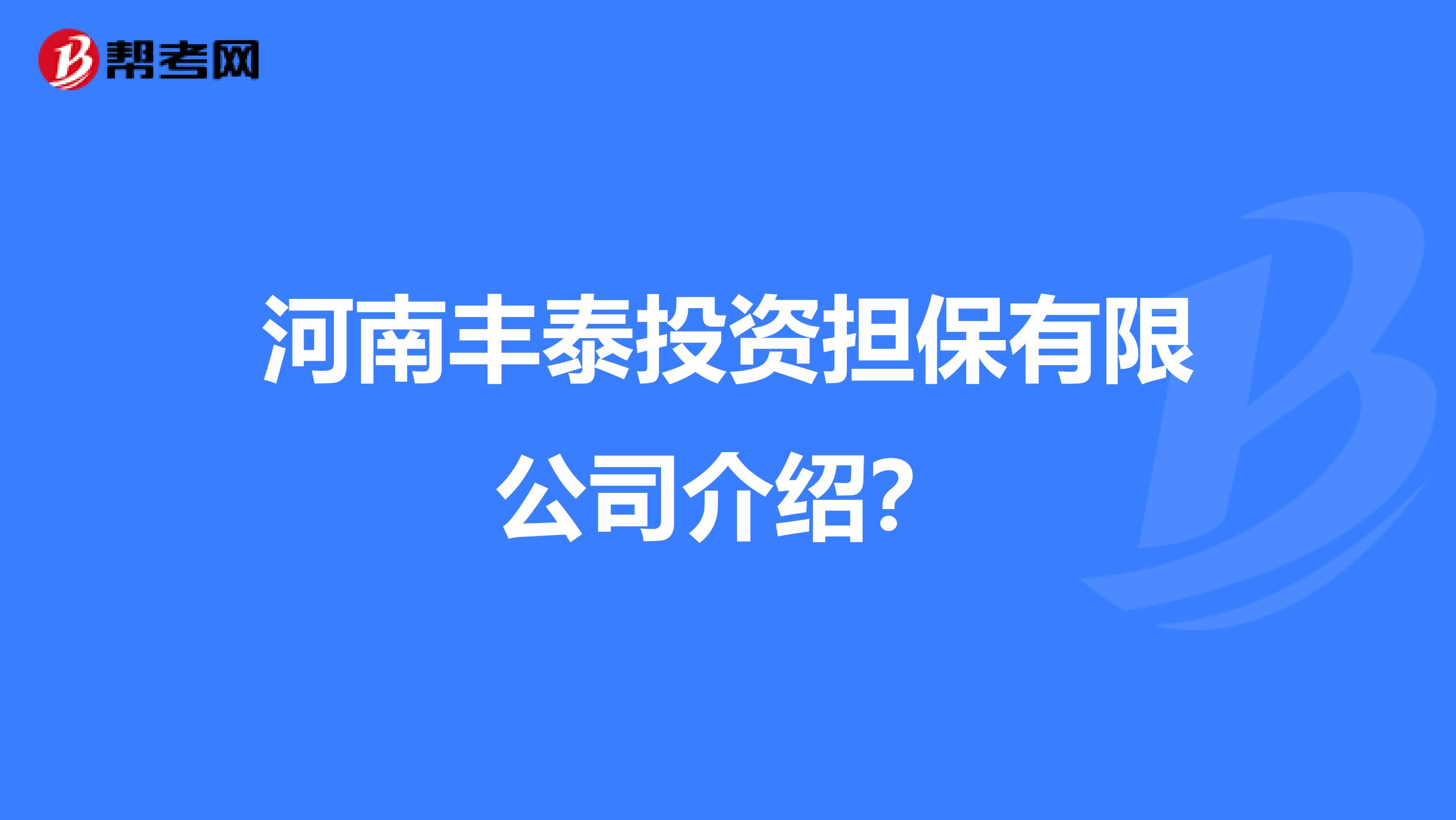 河南丰泰投资担保有限公司介绍?