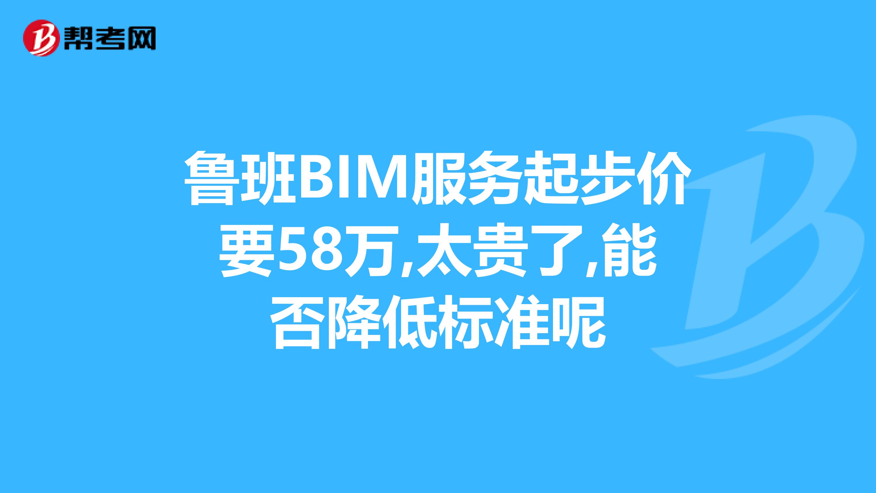 鲁班BIM服务起步价要58万,太贵了,能否降低标准呢