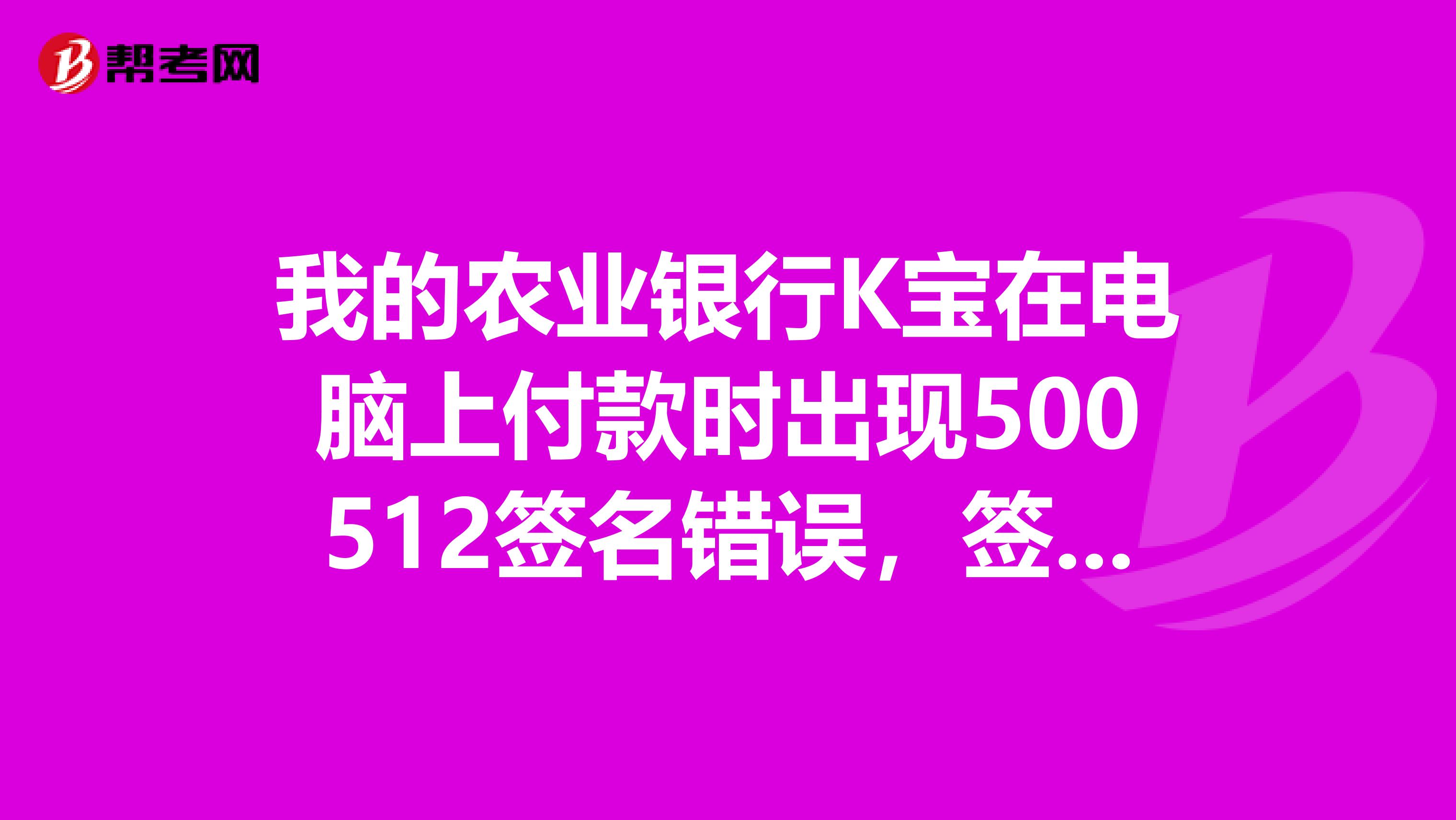 我的农业银行K宝在电脑上付款时出现500512签名错误，签名验证未通过
