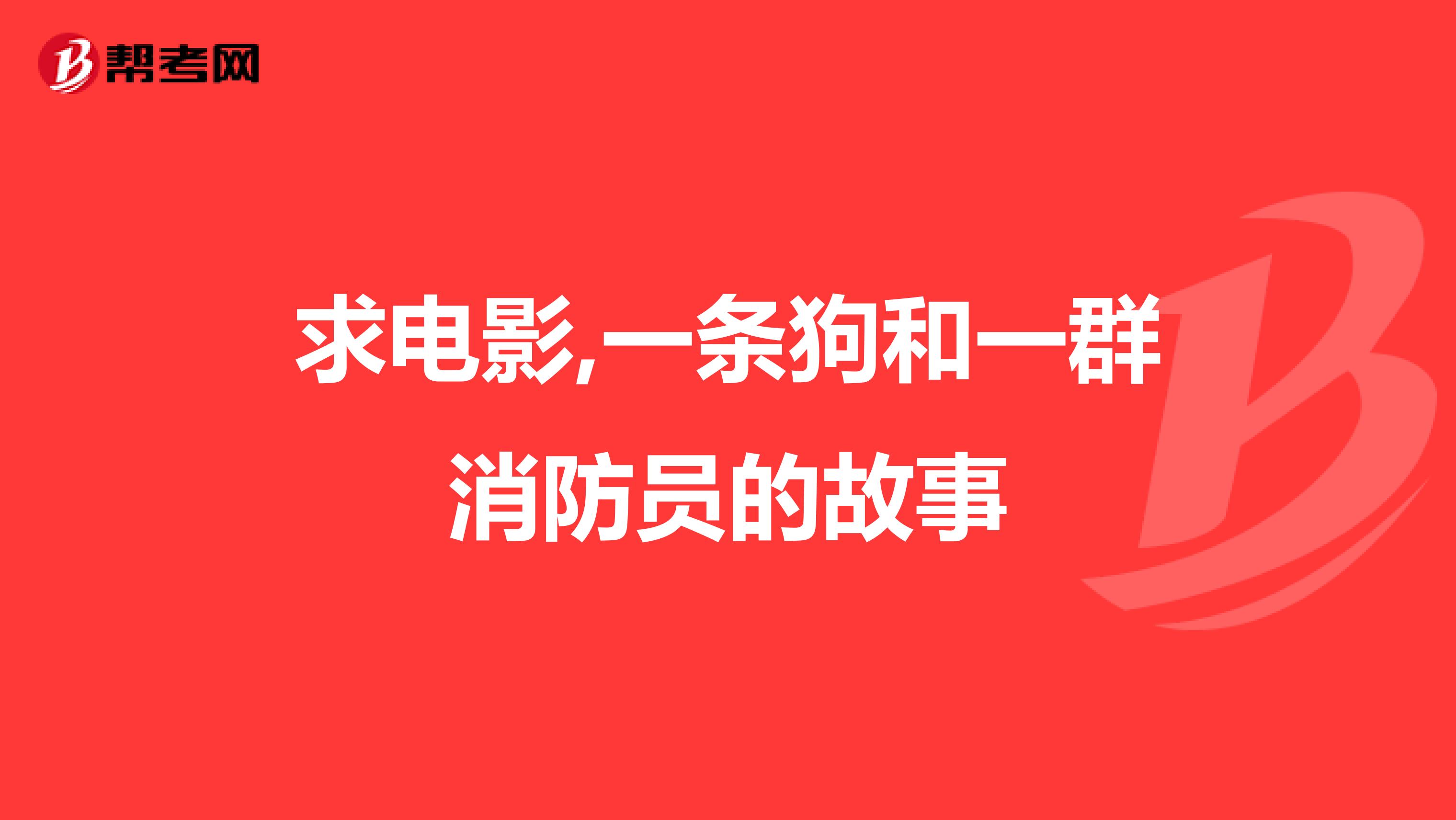 求电影,一条狗和一群消防员的故事