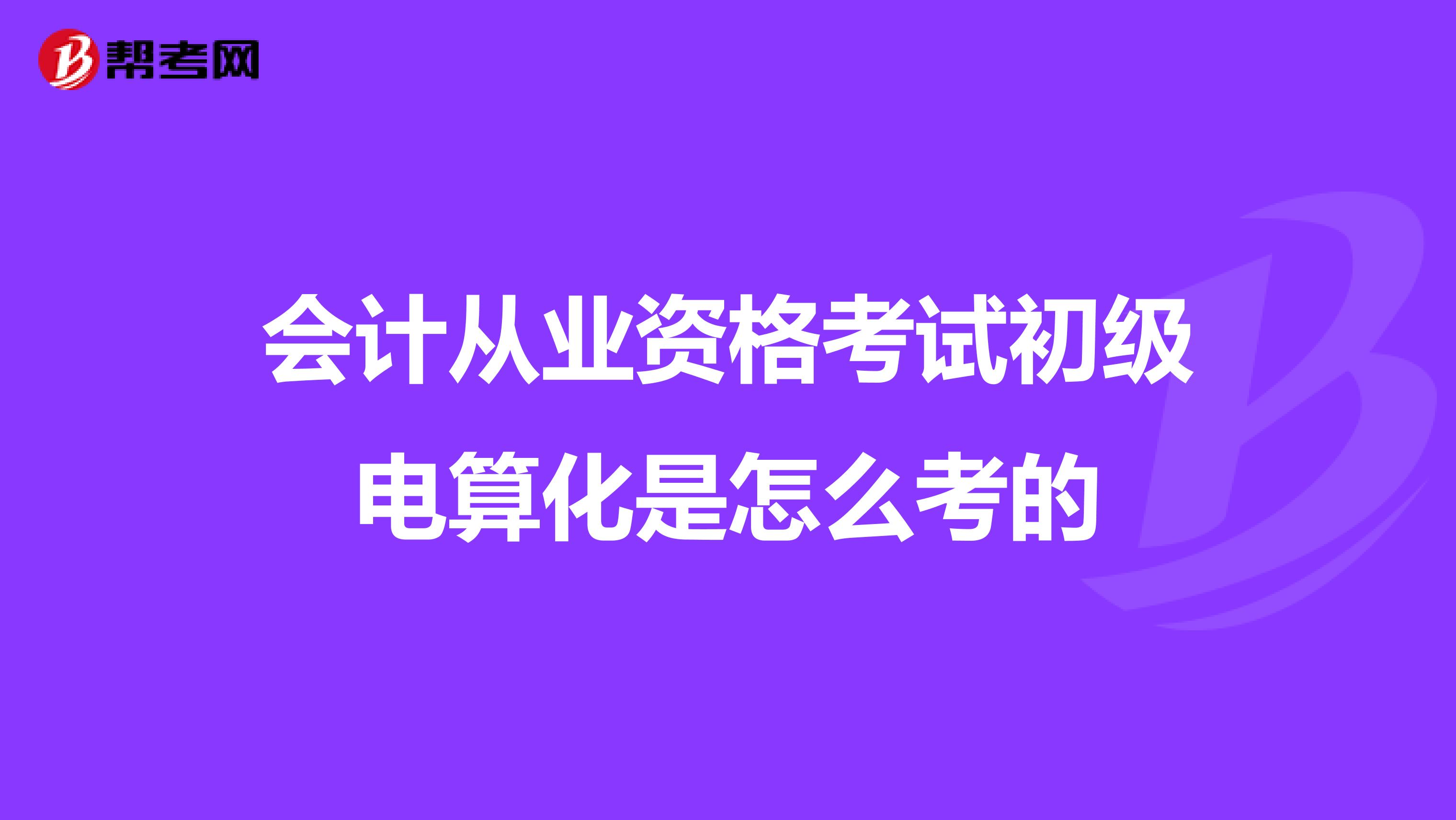 会计从业资格考试初级电算化是怎么考的