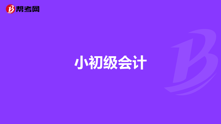 小初级会计