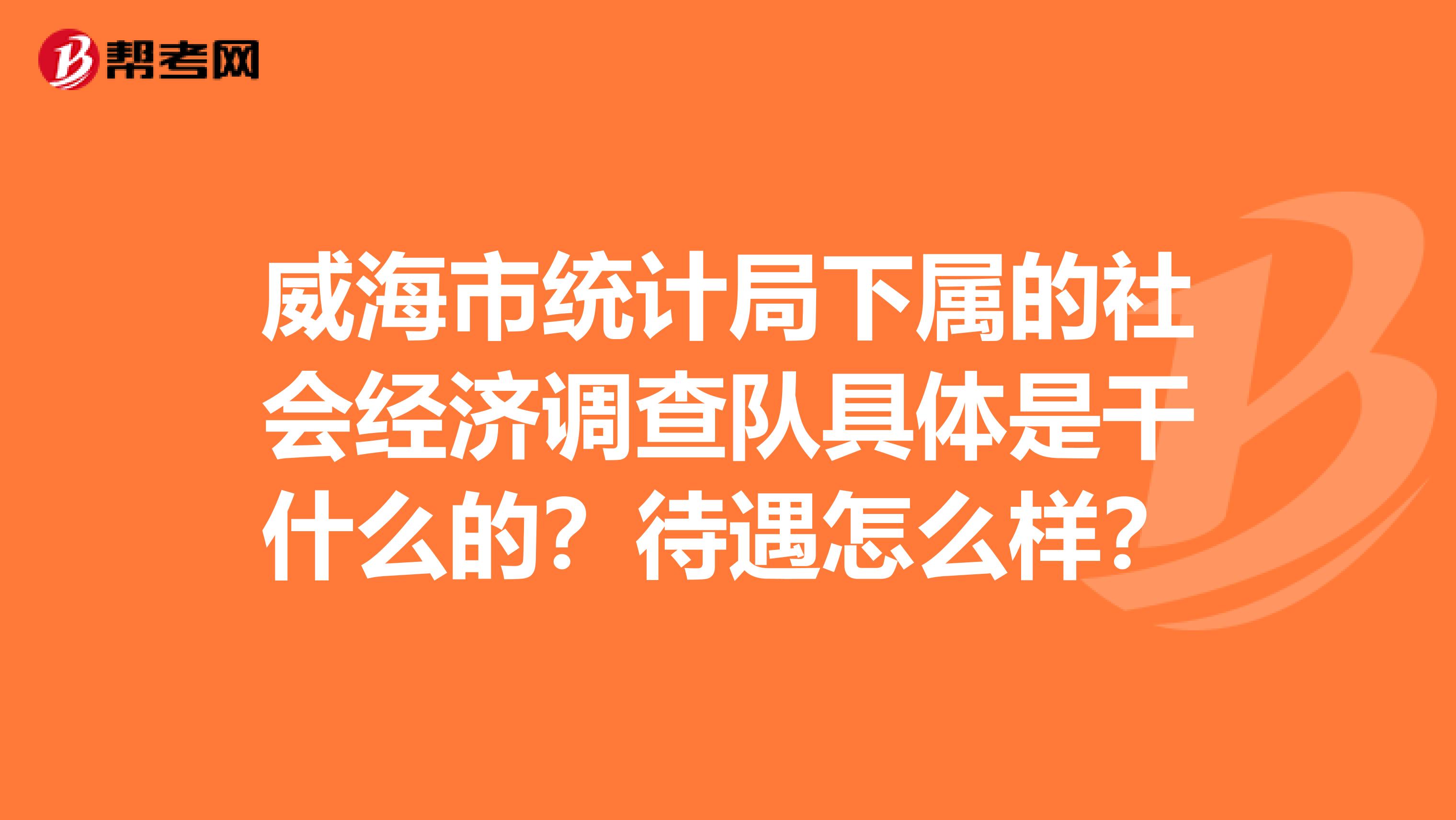 威海市统计局下属的社会经济调查队具体是干什么的?待遇怎么样?