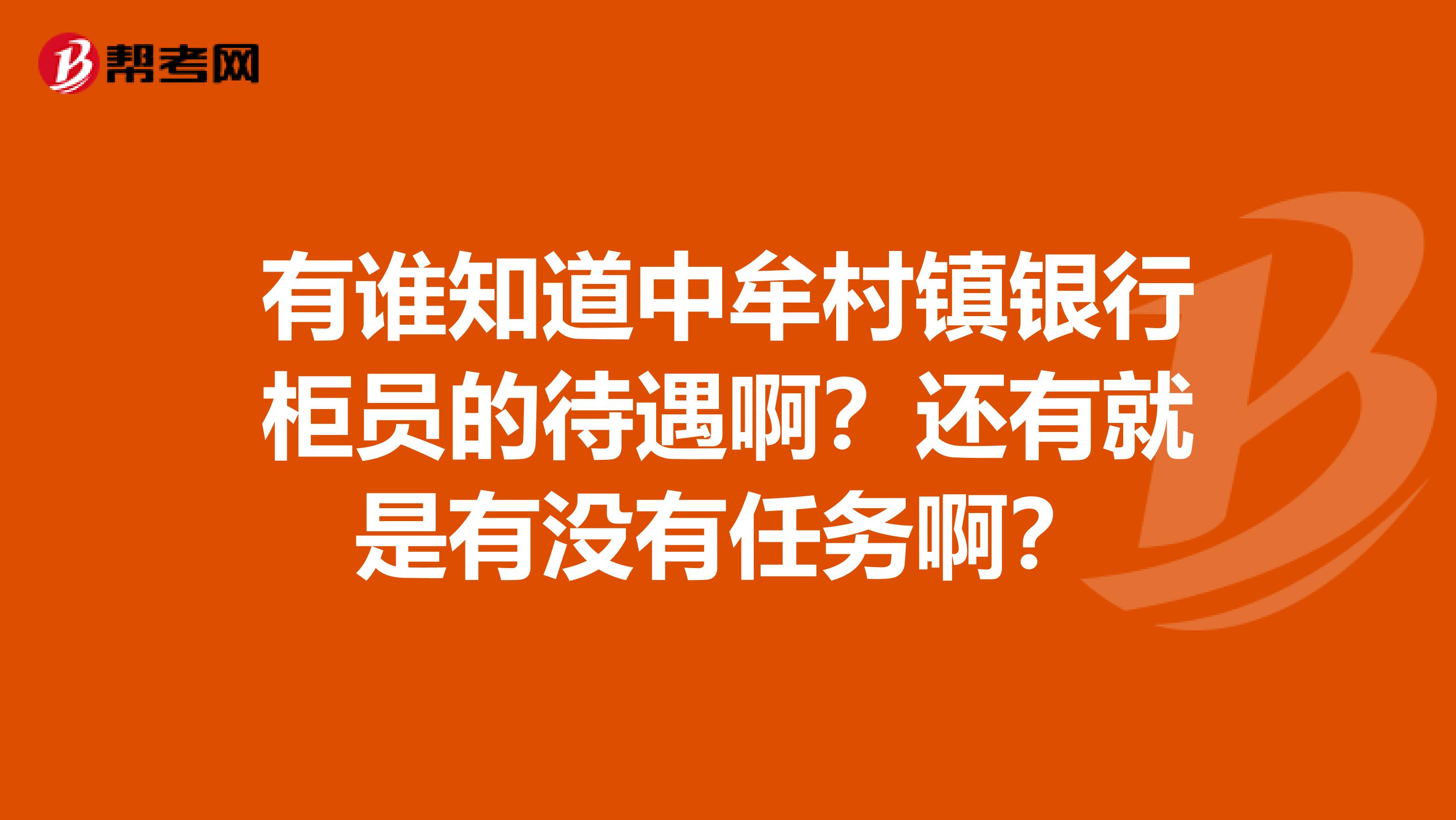 有谁知道中牟村镇银行柜员的待遇啊？还有就是有没有任务啊？