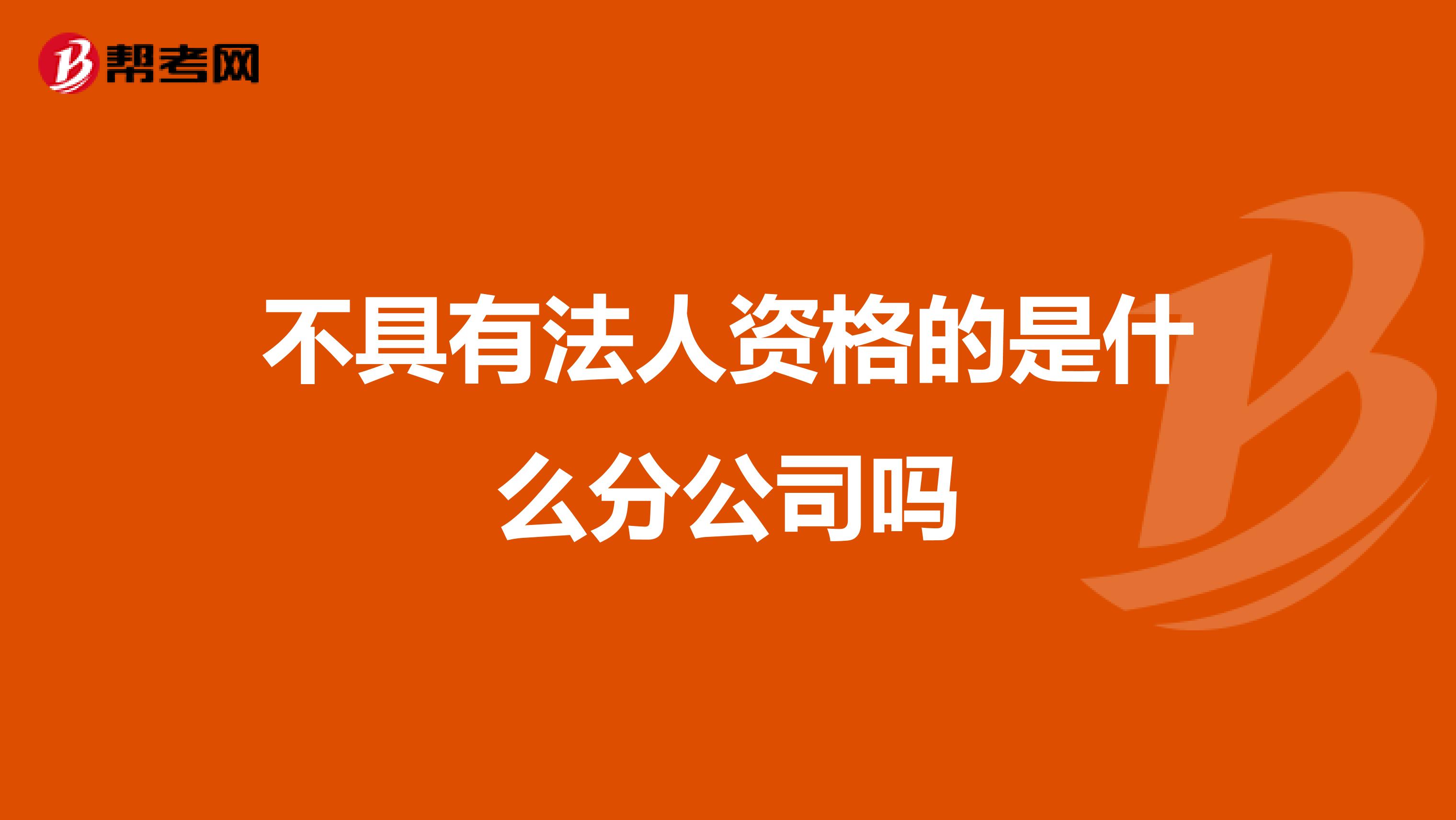 不具有法人资格的是什么分公司吗