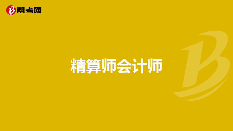 精算师会计师