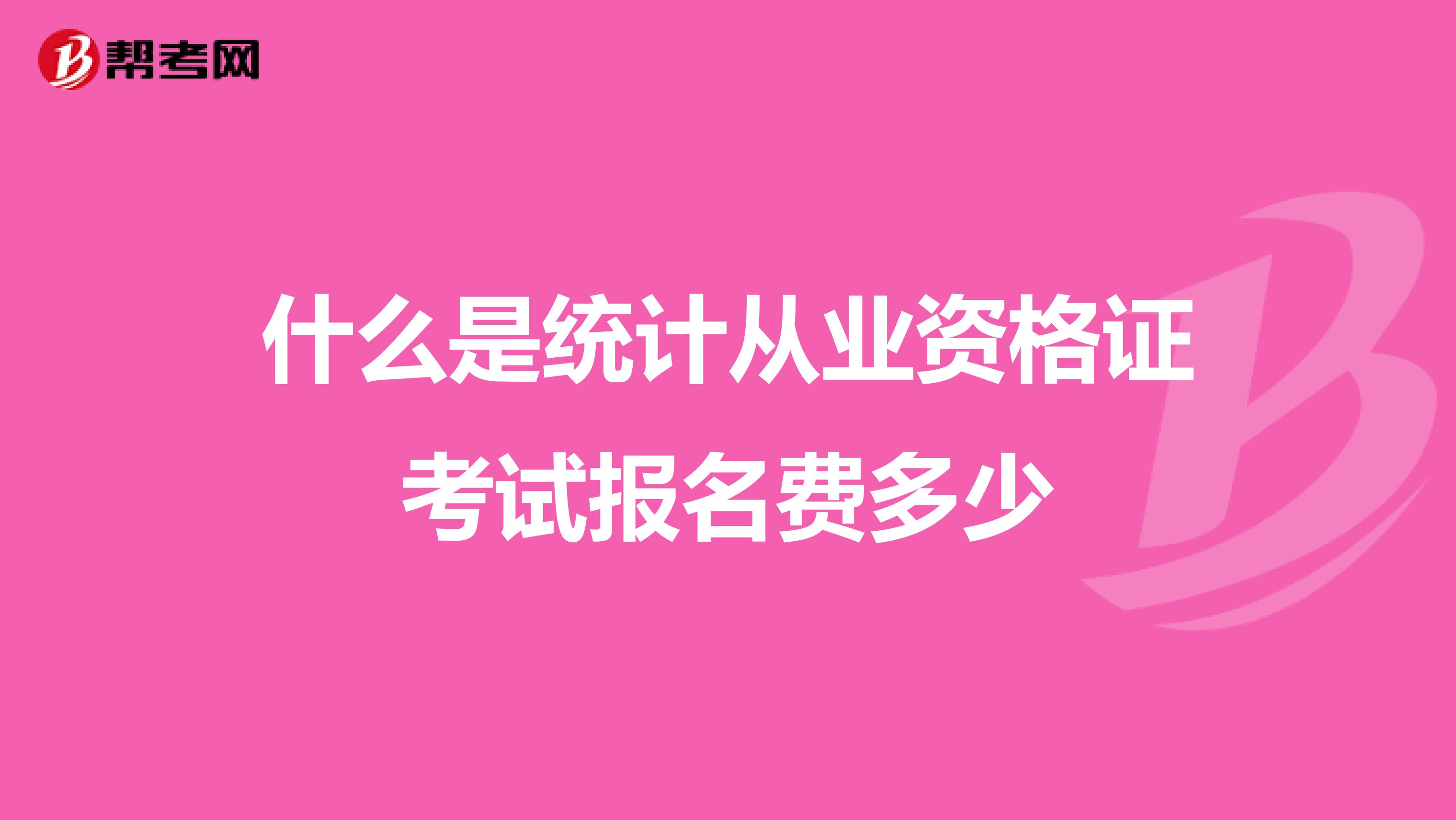 什么是统计从业资格证考试报名费多少