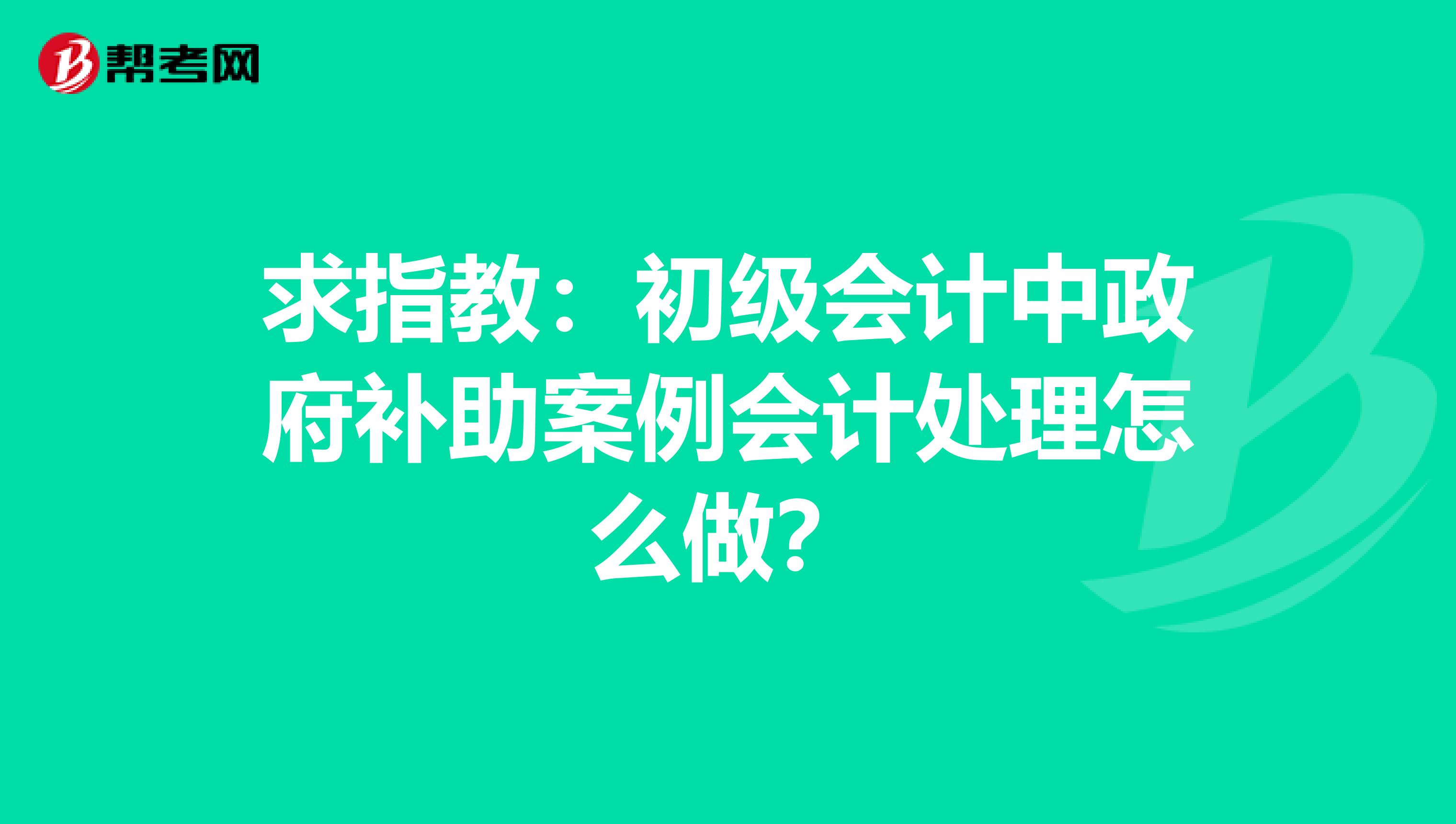 求指教:初级会计中政府补助案例会计处理怎么做?