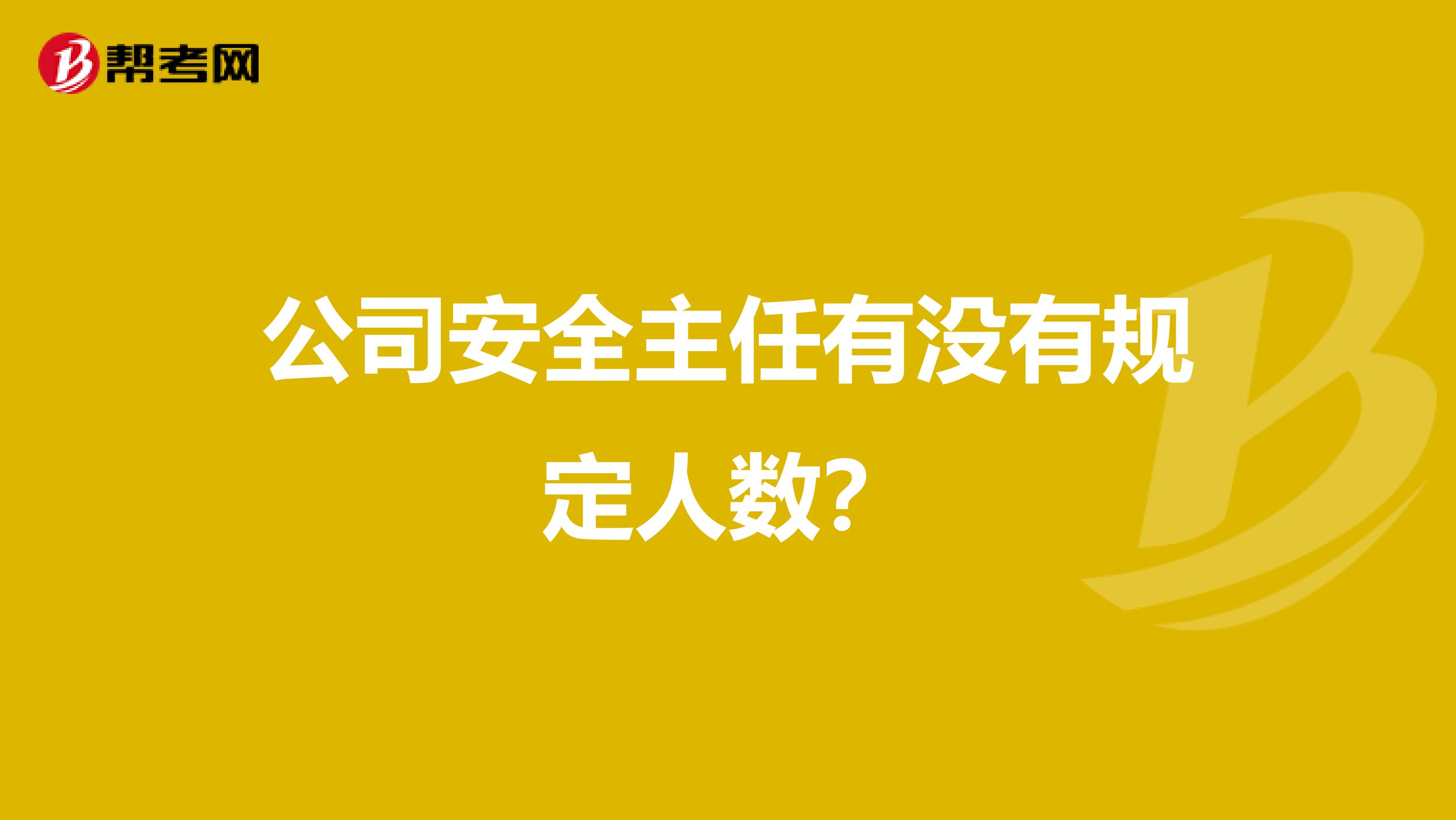公司安全主任有没有规定人数?