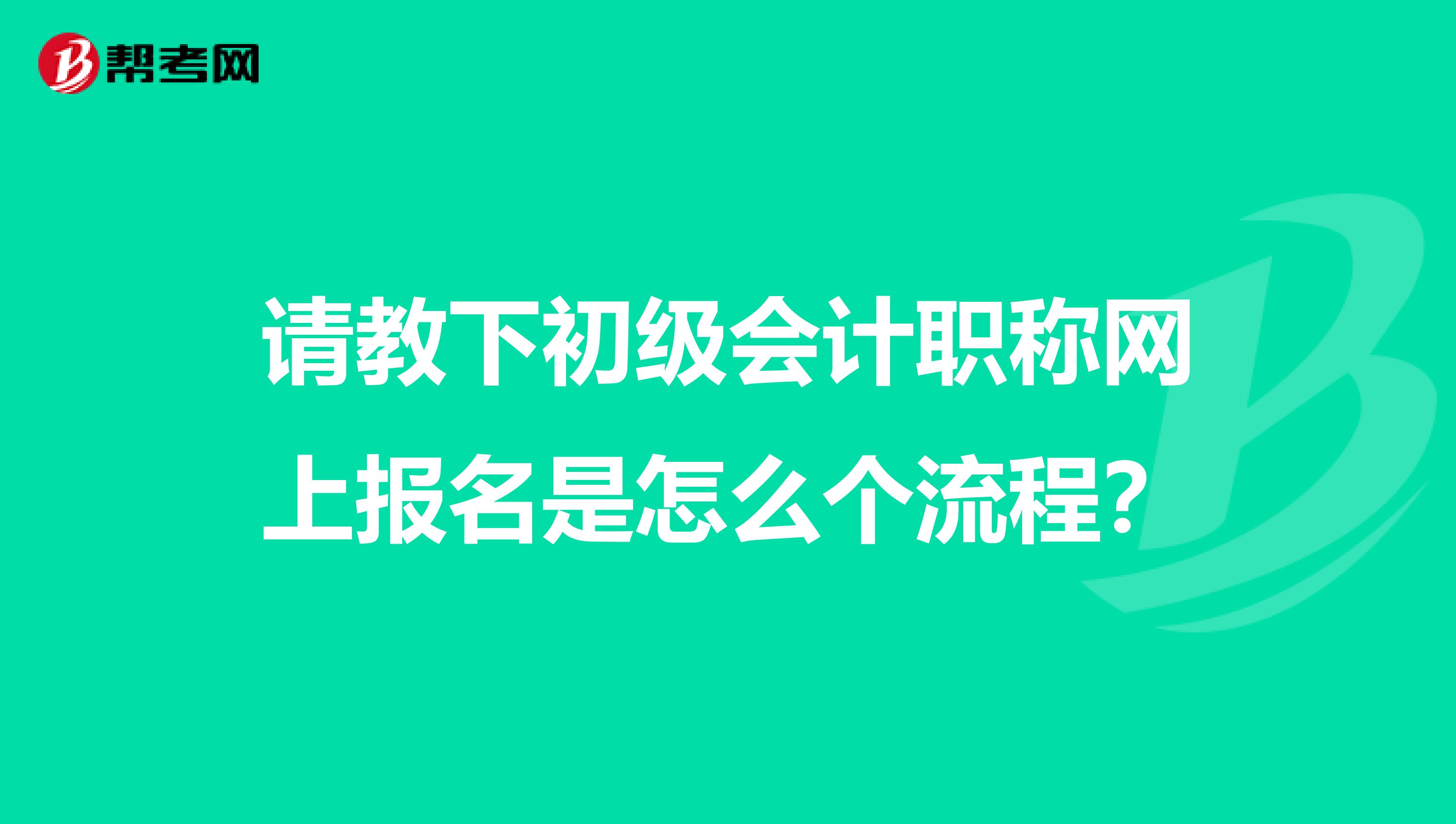 请教下初级会计职称网上报名是怎么个流程？