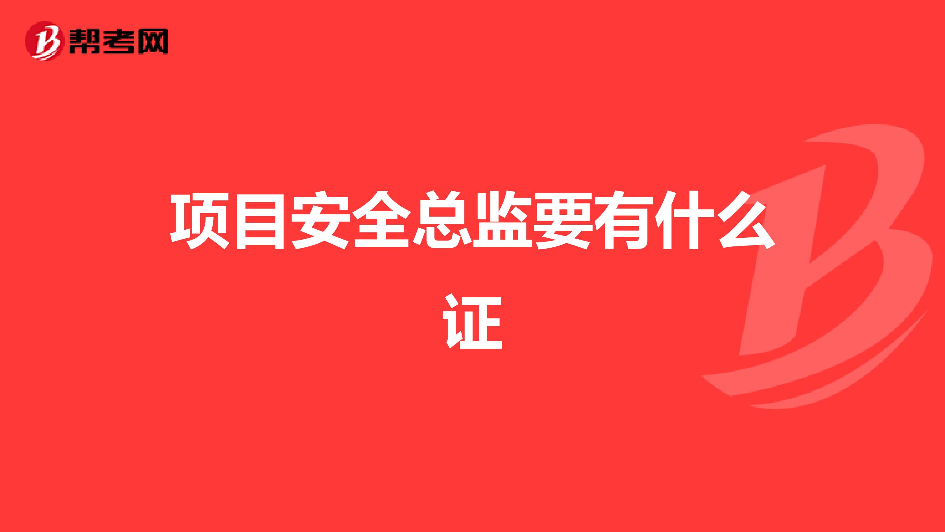 项目安全总监要有什么证
