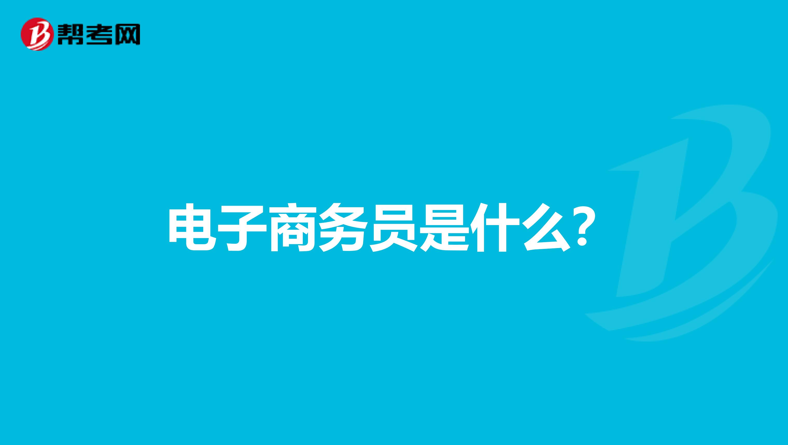 电子商务员是什么?