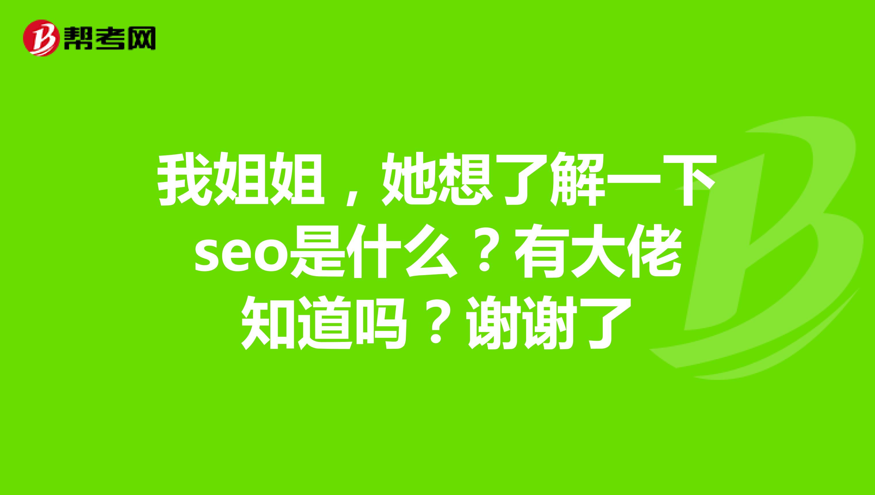 我姐姐,她想了解一下seo是什么?有大佬知道吗?谢谢了