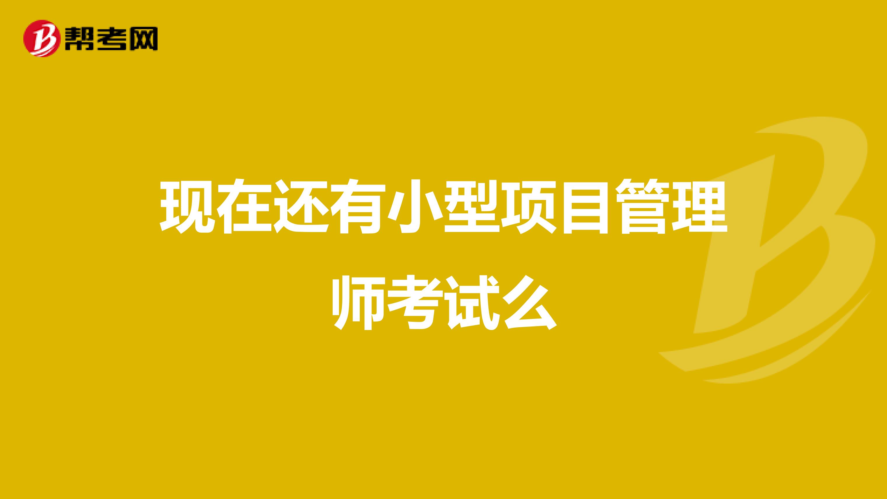 现在还有小型项目管理师考试么