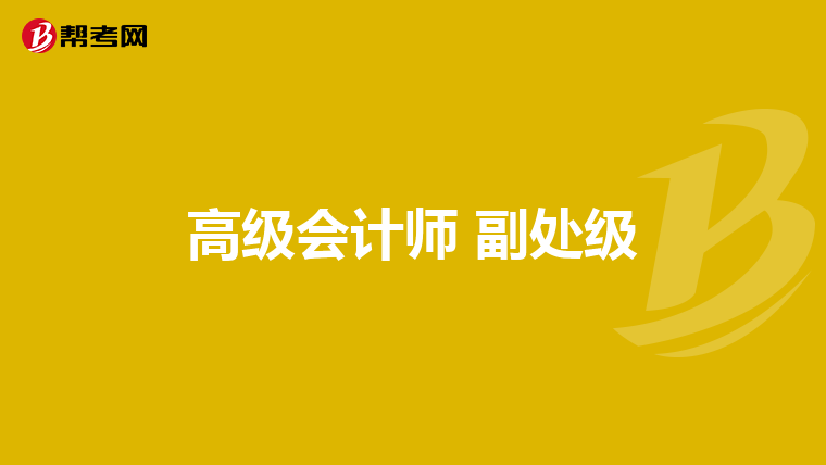高级会计师 副处级