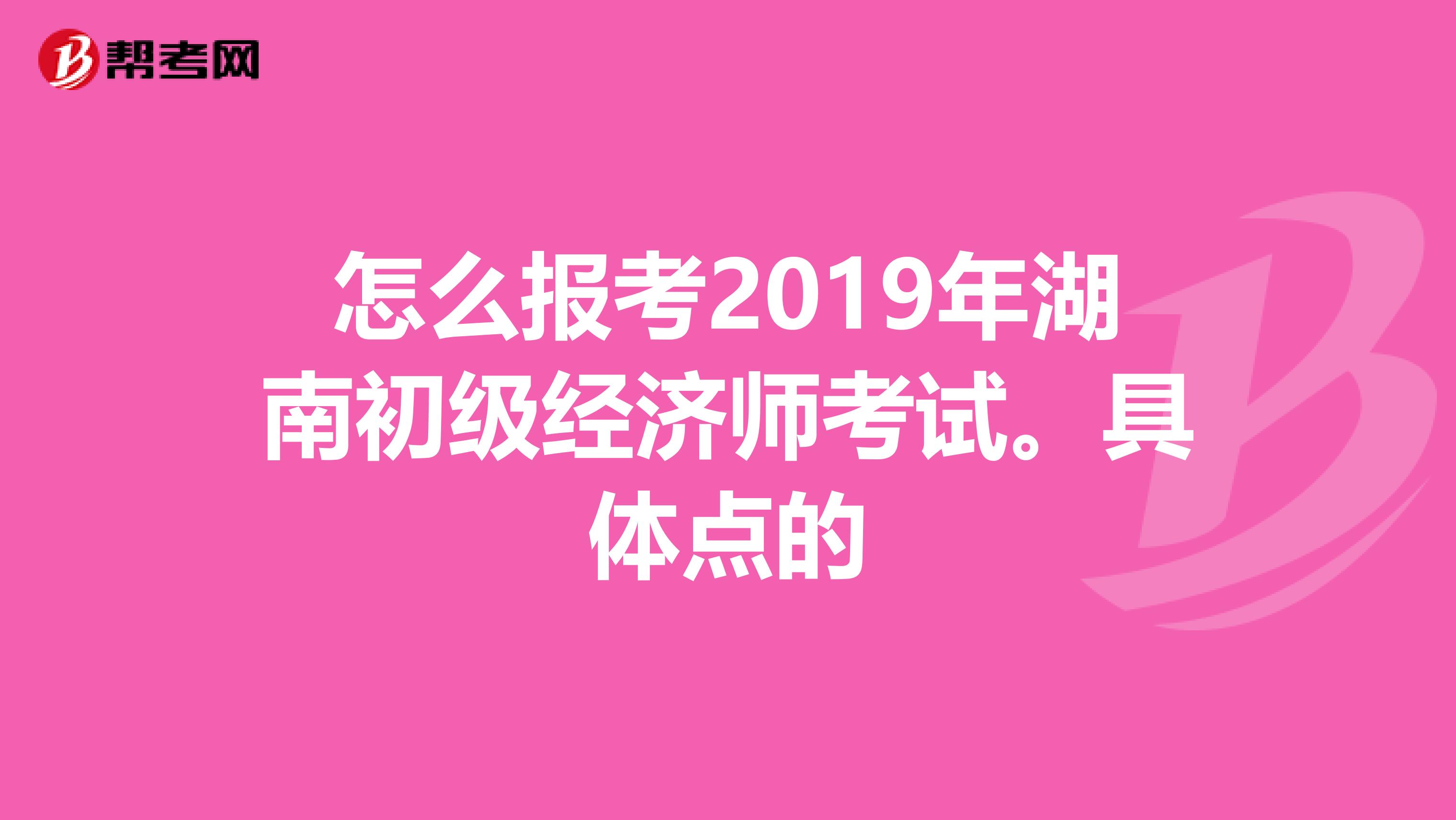 怎么报考2019年湖南初级经济师考试。具体点的