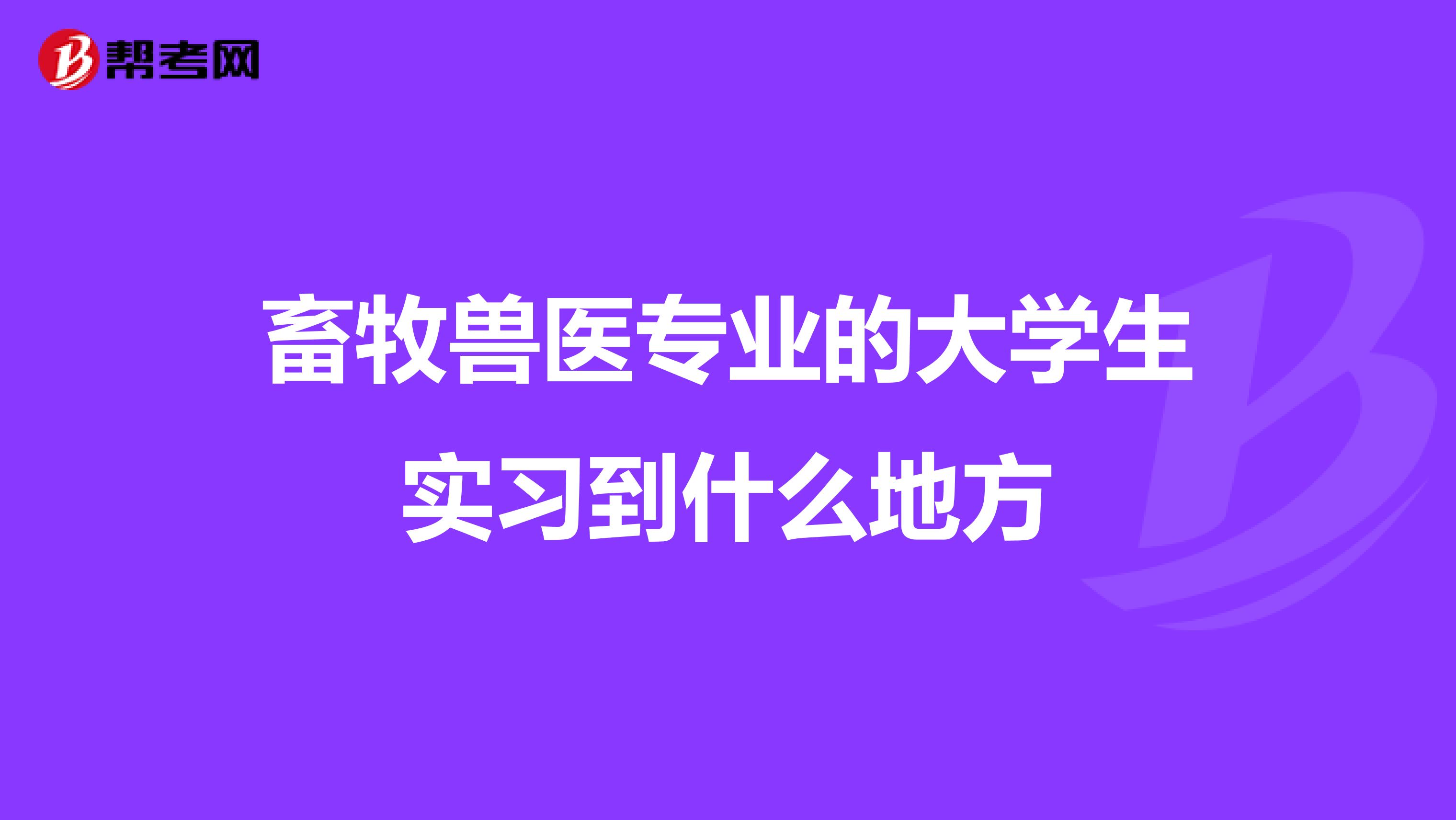 畜牧兽医专业的大学生实习到什么地方