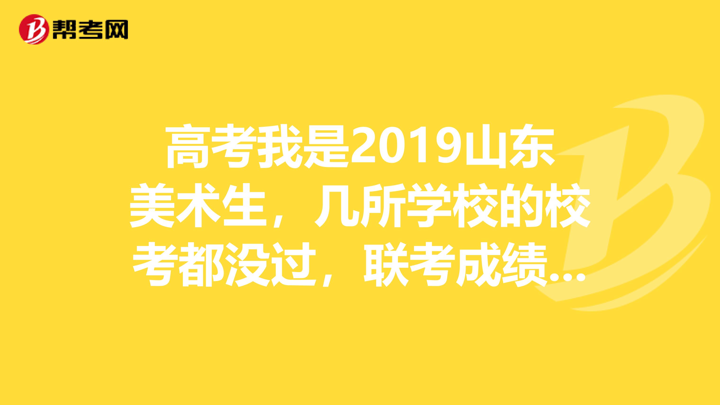 高考我是2019山东美术生,几所学校的校考都没过,联考成绩231文化课能考500甚至更高,我想上好的联考...