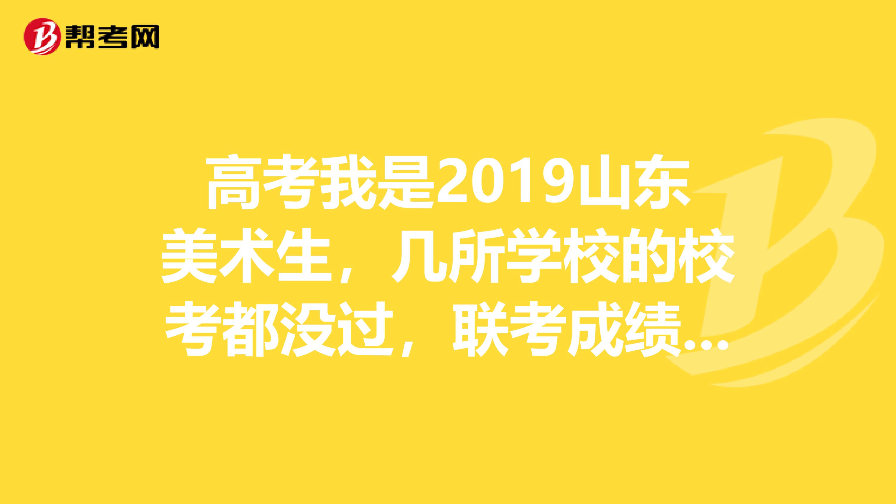 高考我是2019山东美术生，几所学校的校考都没过，联考成绩231文化课能考500甚至更高，我想上好的联考...