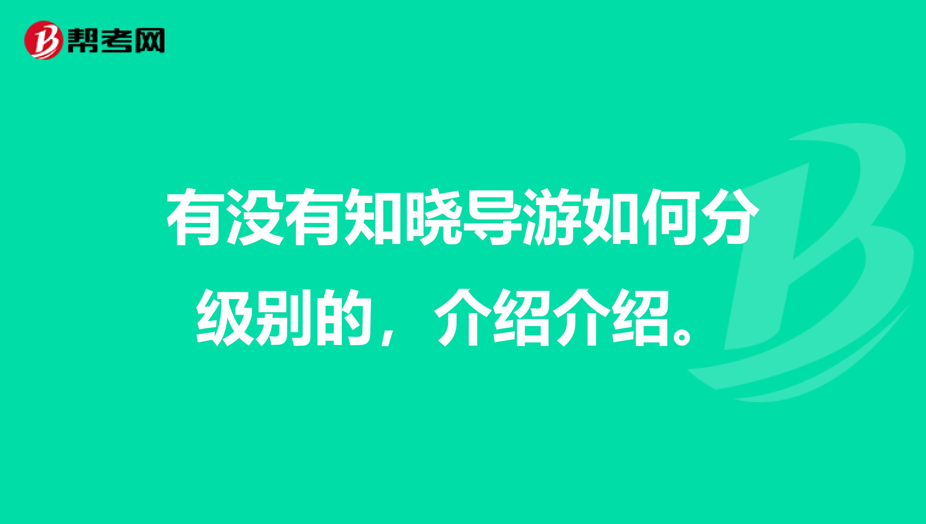 有没有知晓导游如何分级别的,介绍介绍。