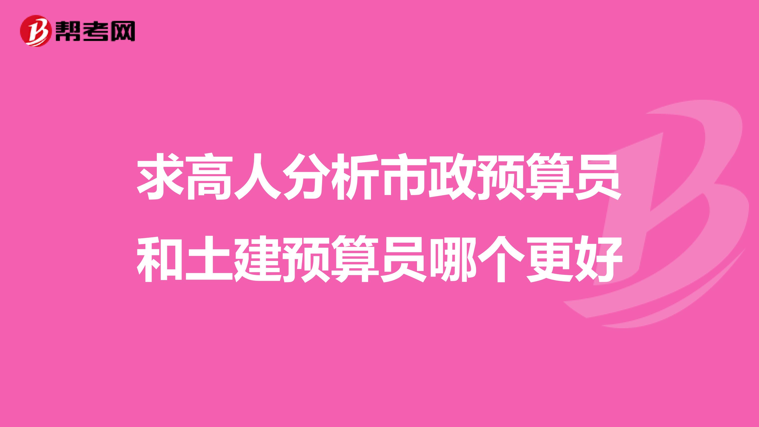 求高人分析市政预算员和土建预算员哪个更好