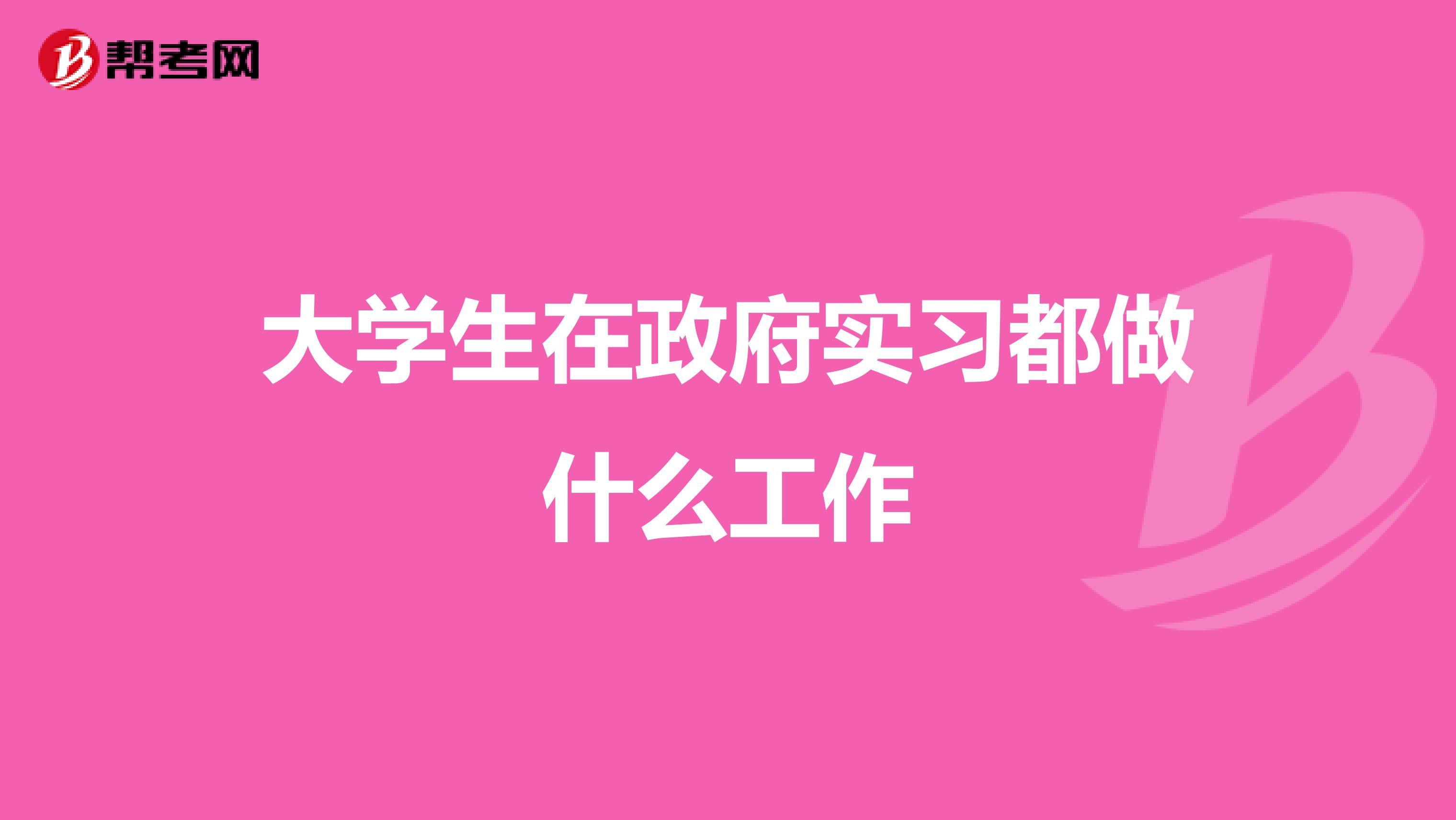 大学生在政府实习都做什么工作