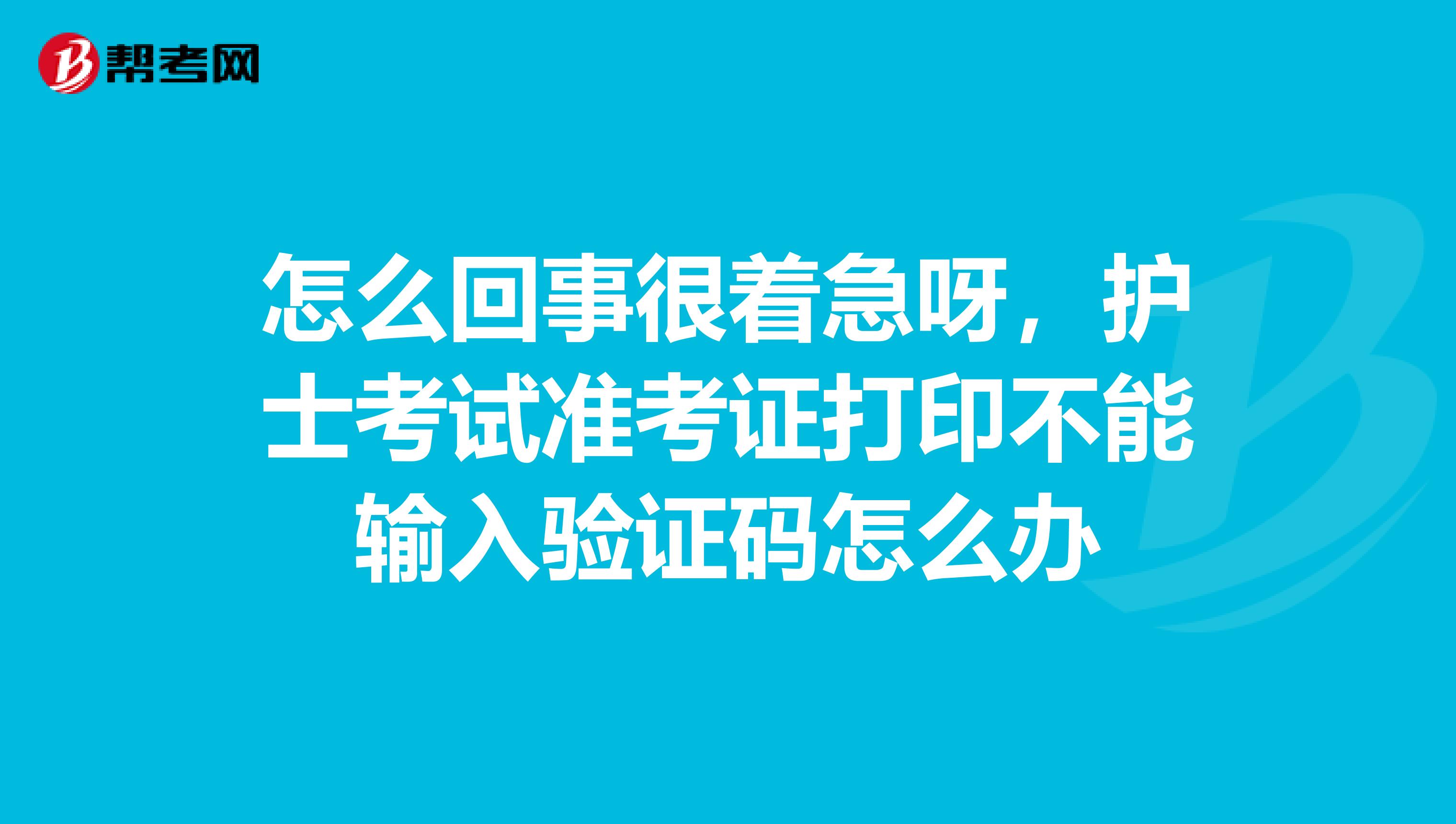 怎么回事很着急呀，护士考试准考证打印不能输入验证码怎么办