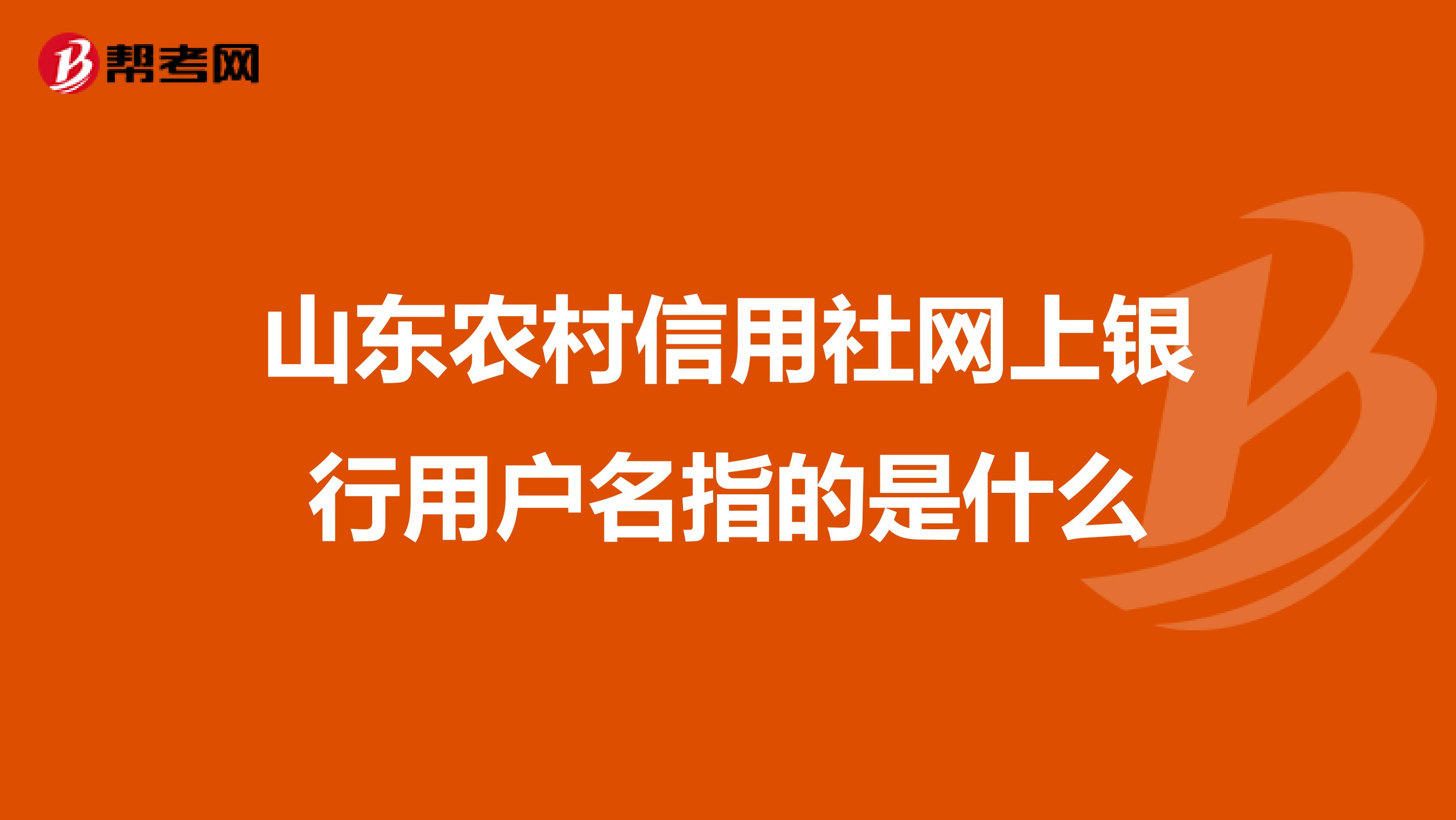 山东农村信用社网上银行用户名指的是什么