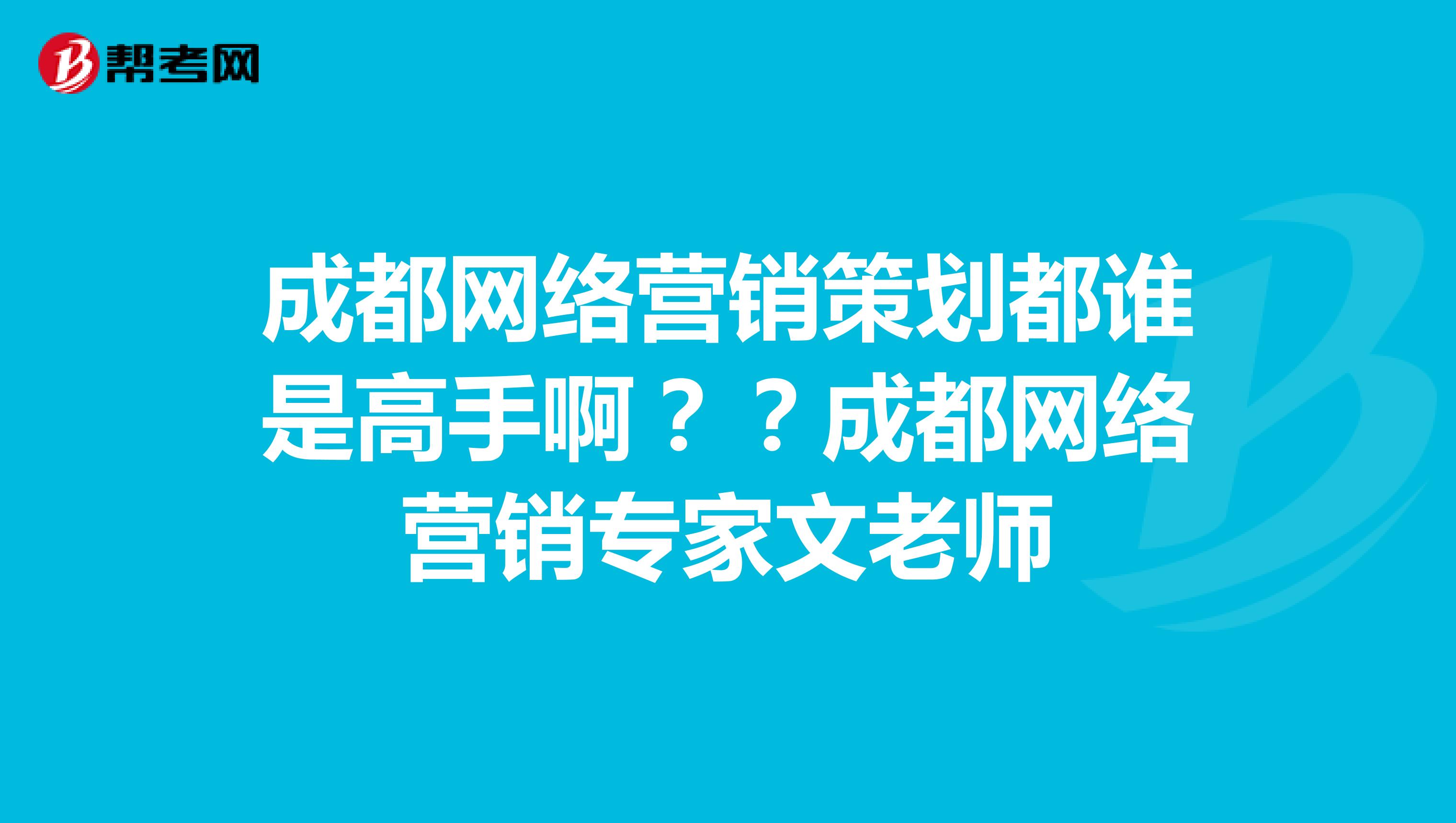 成都网络营销策划都谁是高手啊？？成都网络营销专家文老师