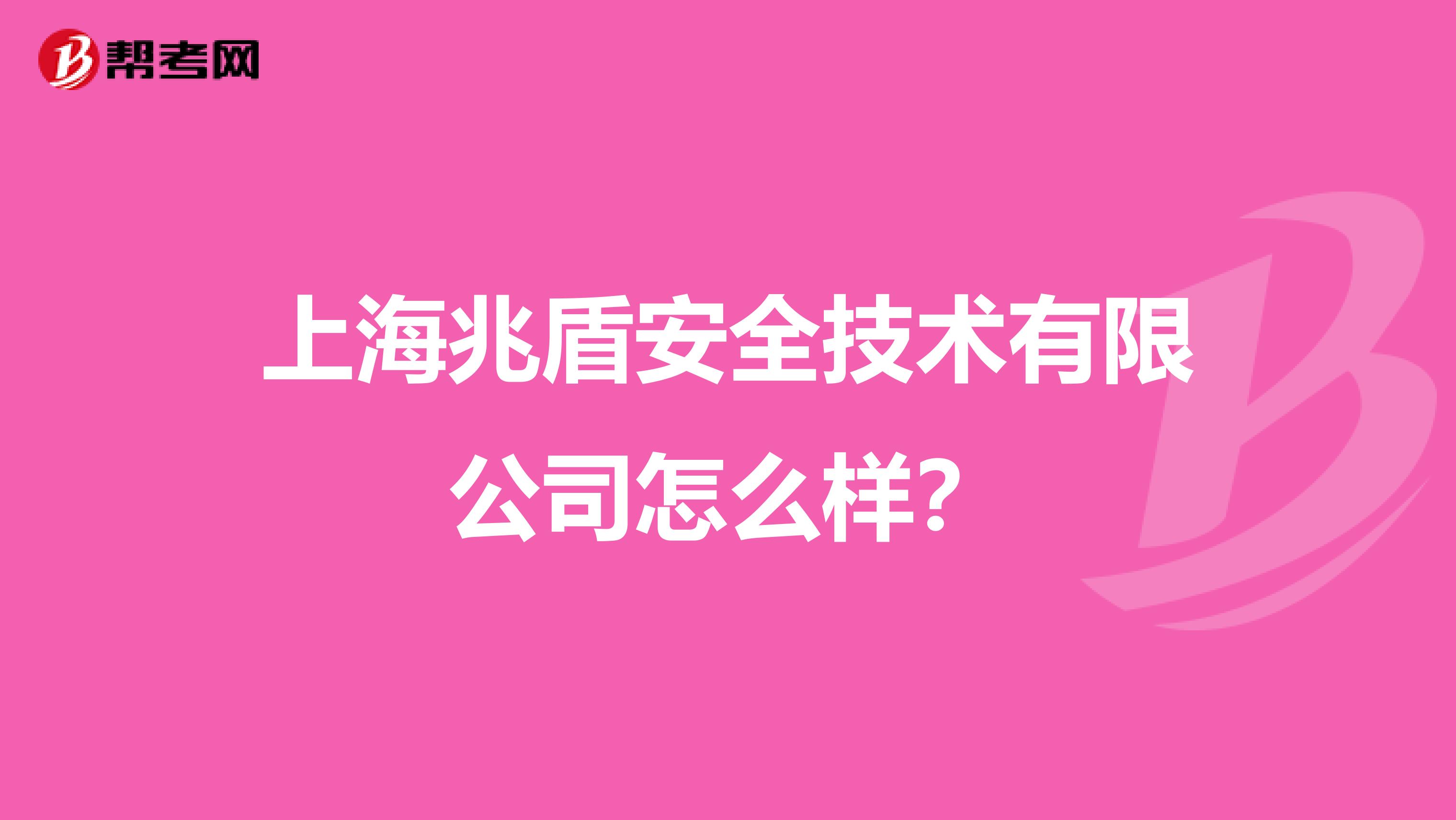 上海兆盾安全技术有限公司怎么样？