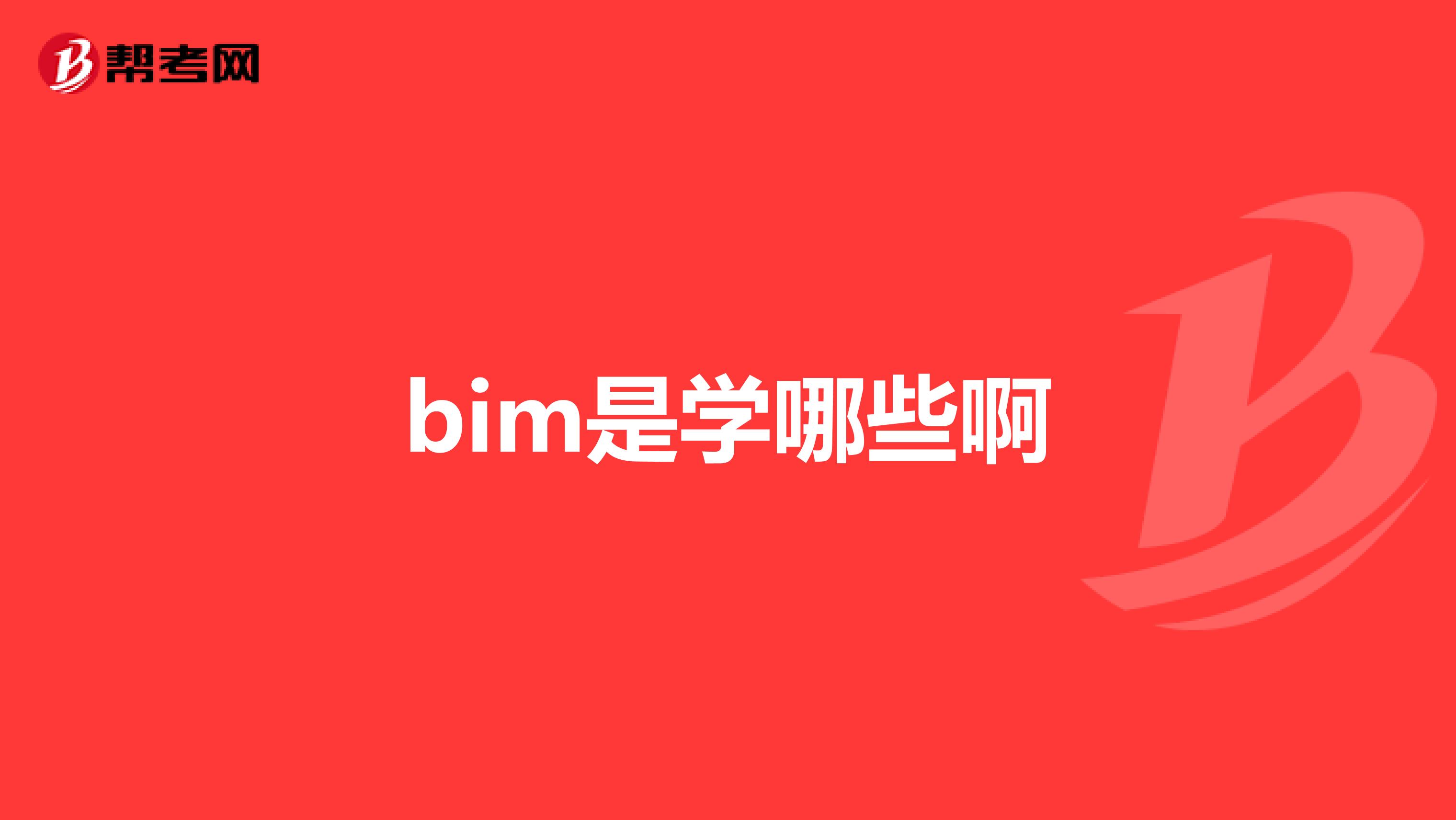 bim是学哪些啊