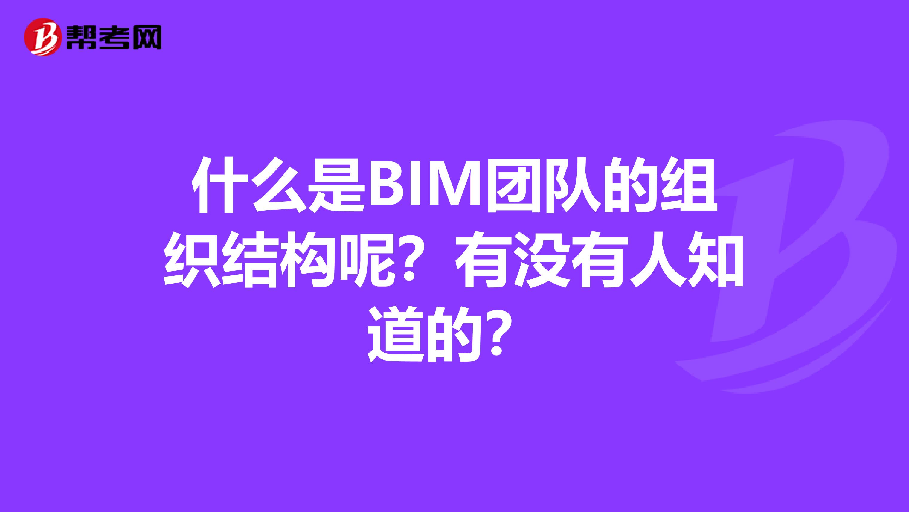 什么是BIM团队的组织结构呢?有没有人知道的?