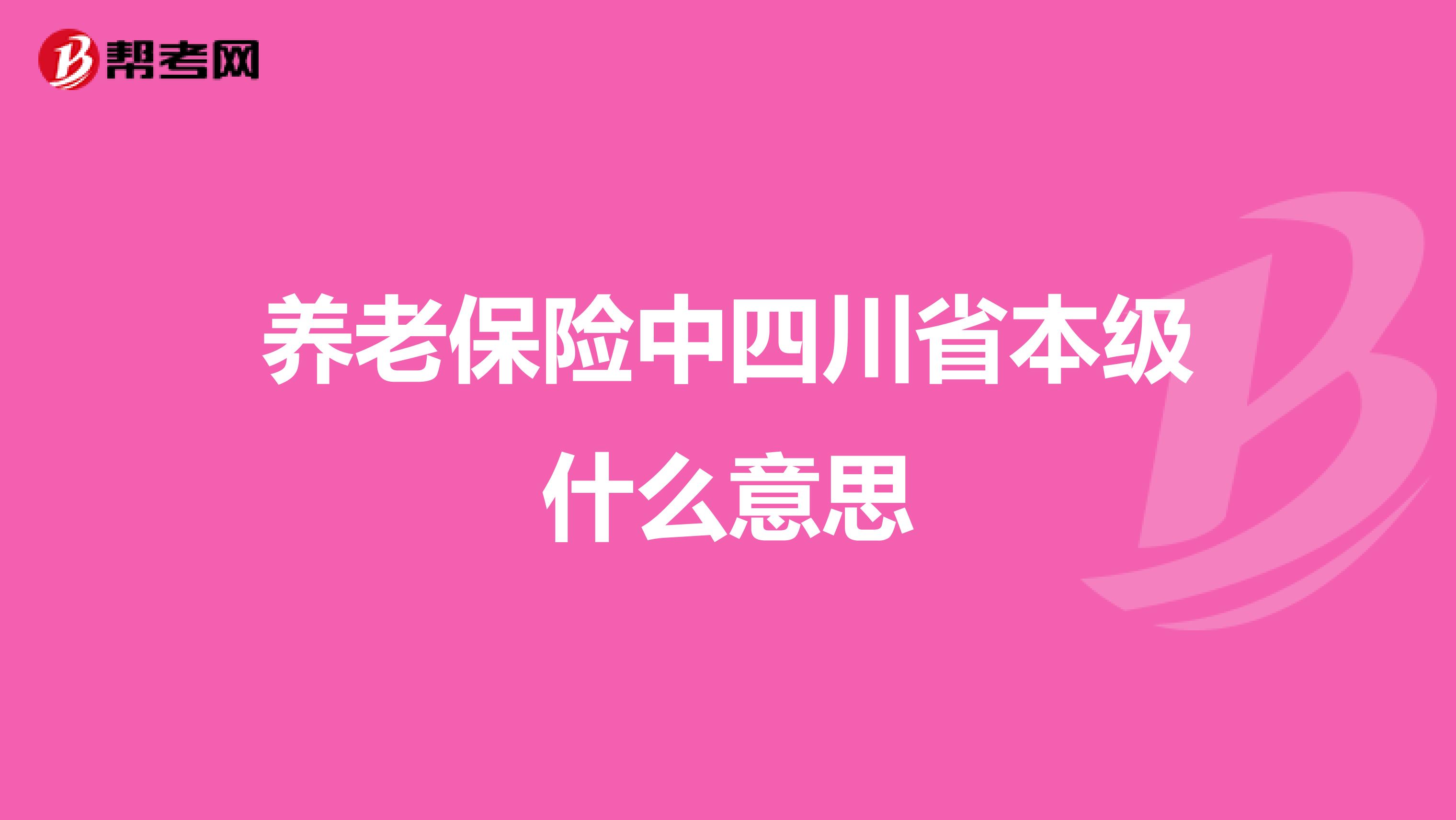 养老保险中四川省本级什么意思