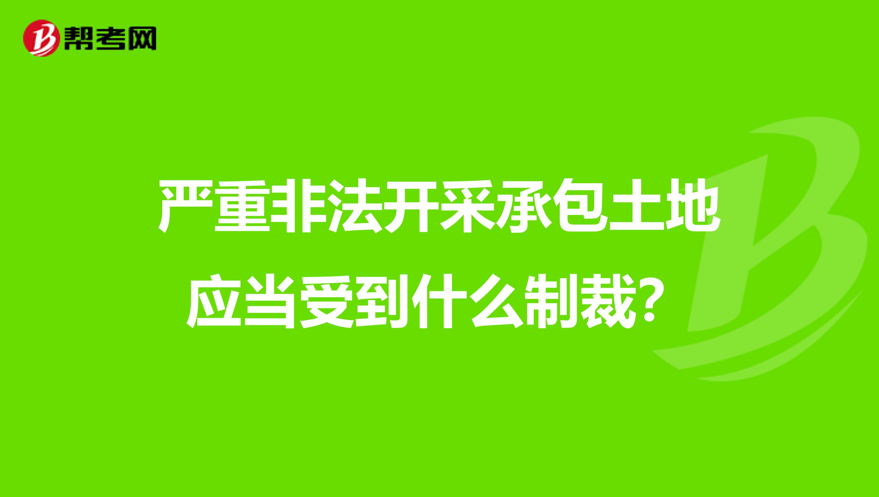 严重非法开采承包土地应当受到什么制裁?