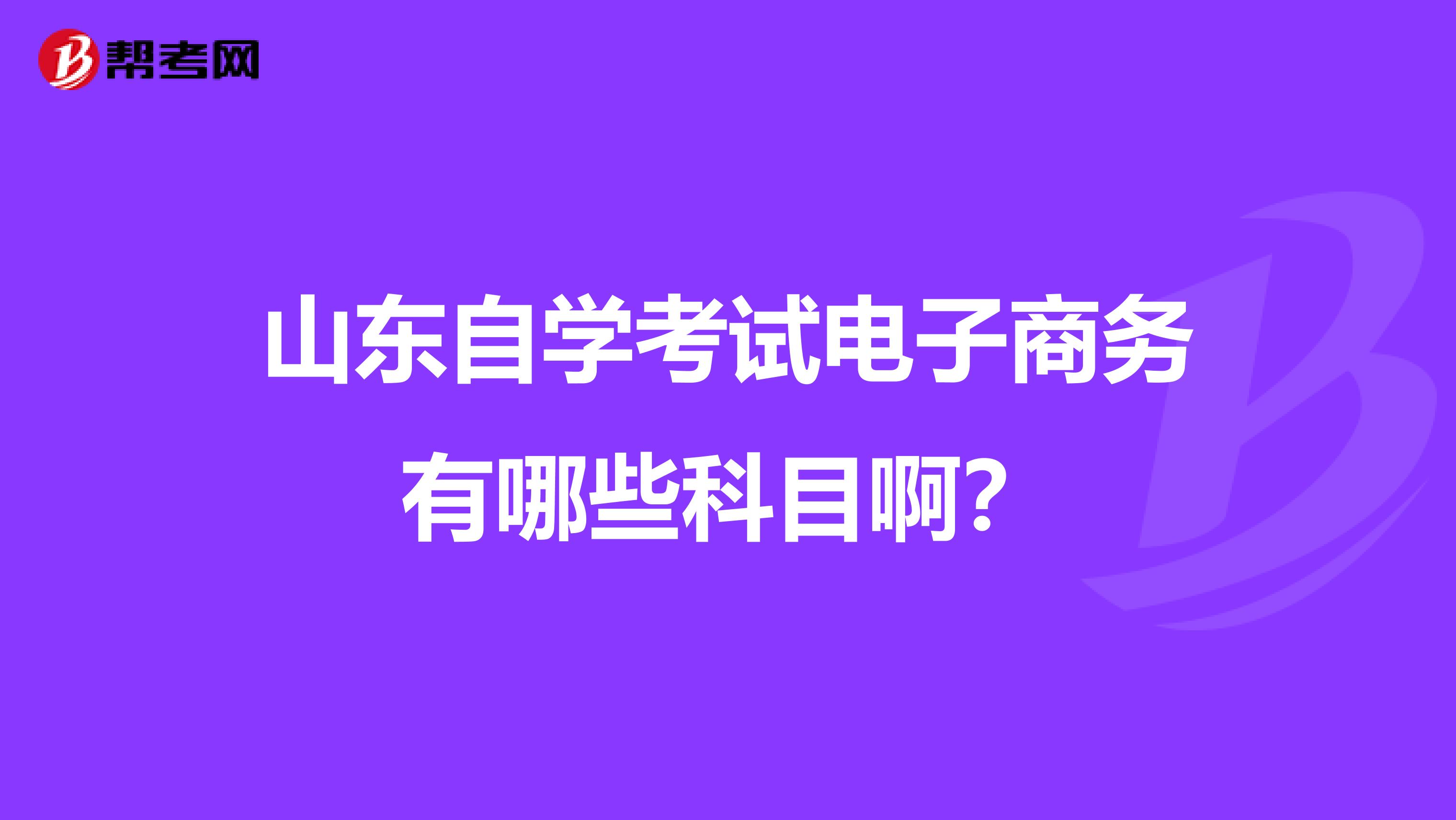 山东自学考试电子商务有哪些科目啊?