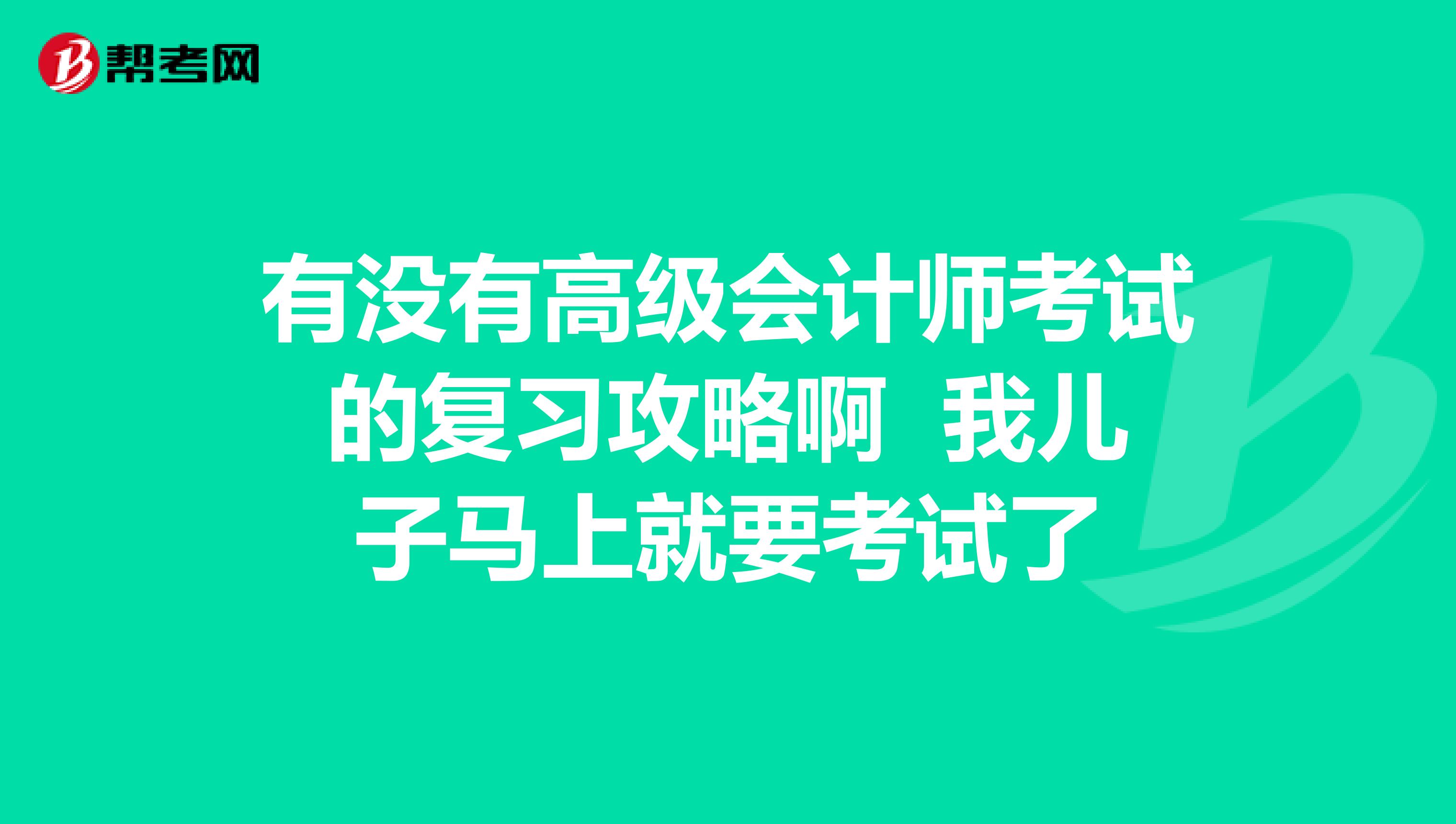 有没有高级会计师考试的复习攻略啊 我儿子马上就要考试了