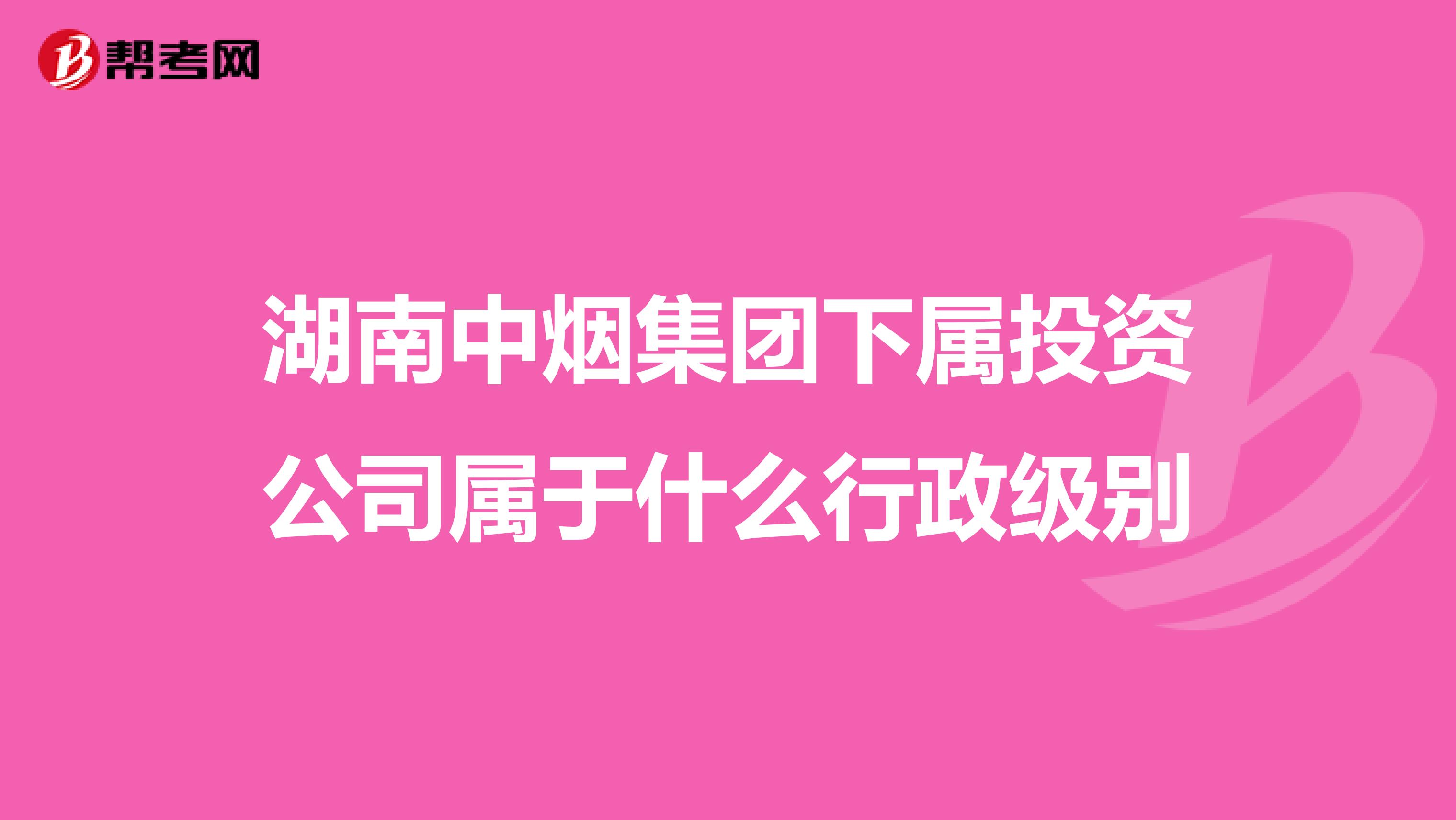 湖南中烟集团下属投资公司属于什么行政级别
