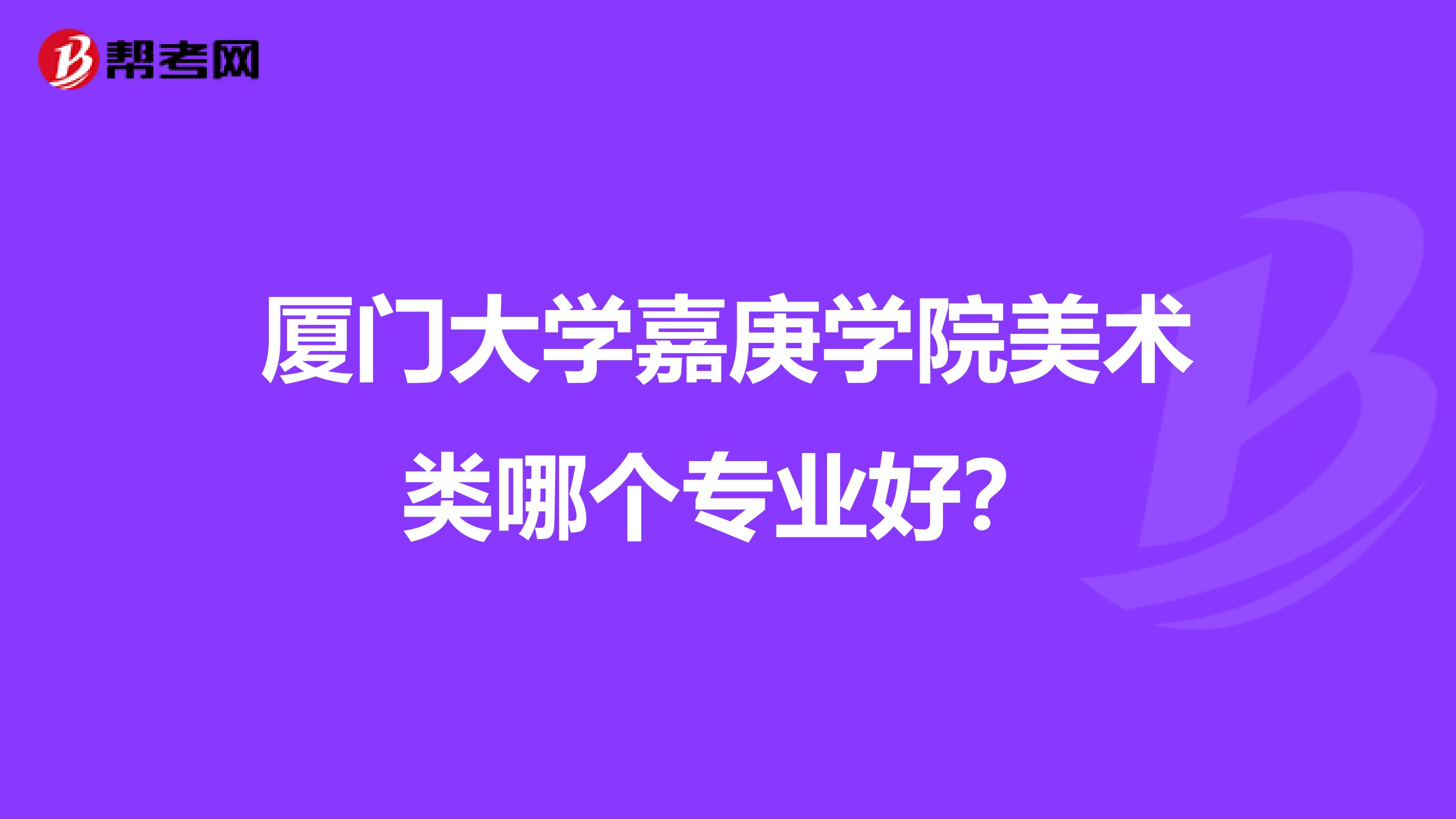 厦门大学嘉庚学院美术类哪个专业好？