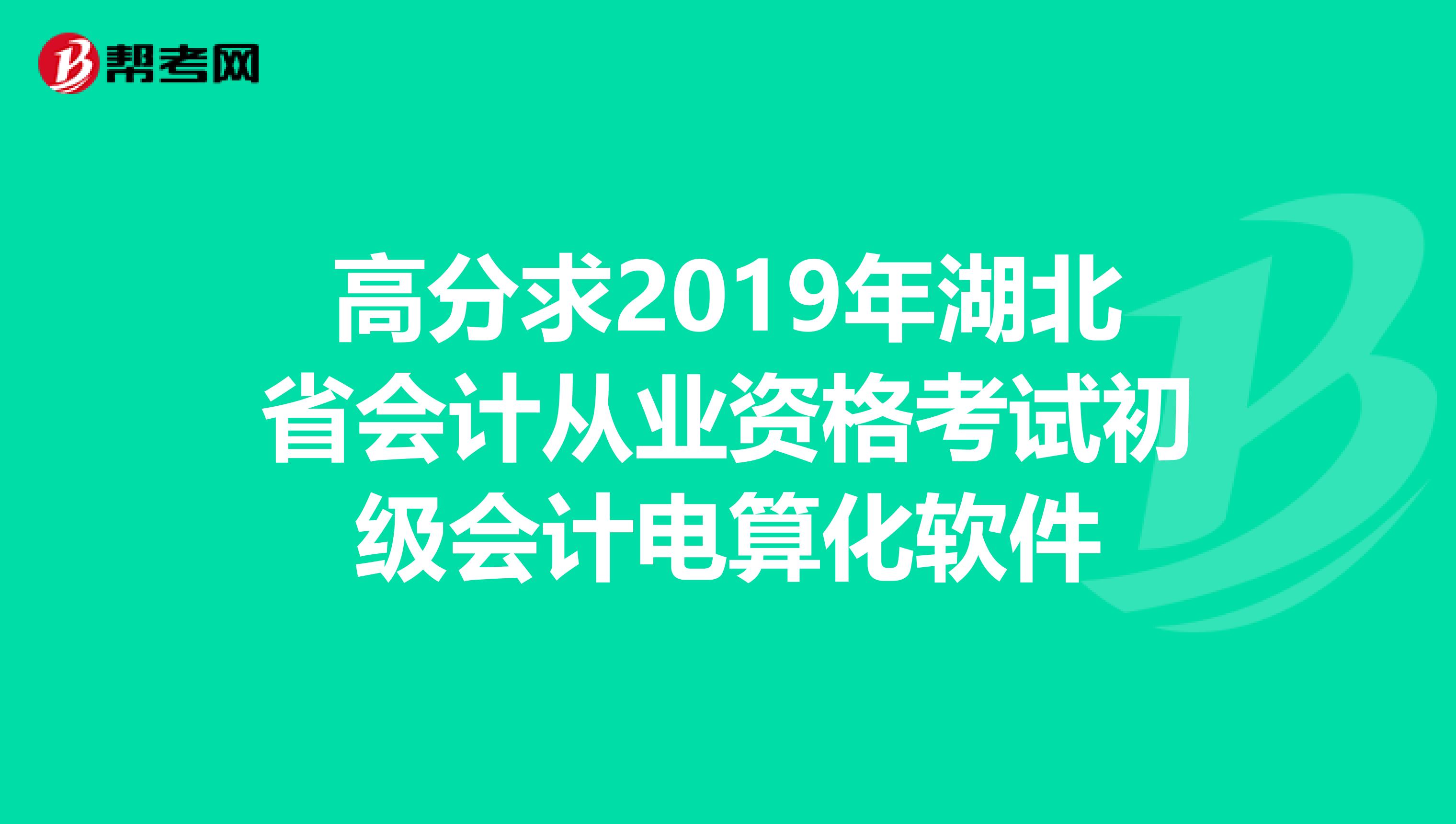 高分求2019年湖北省会计从业资格考试初级会计电算化软件