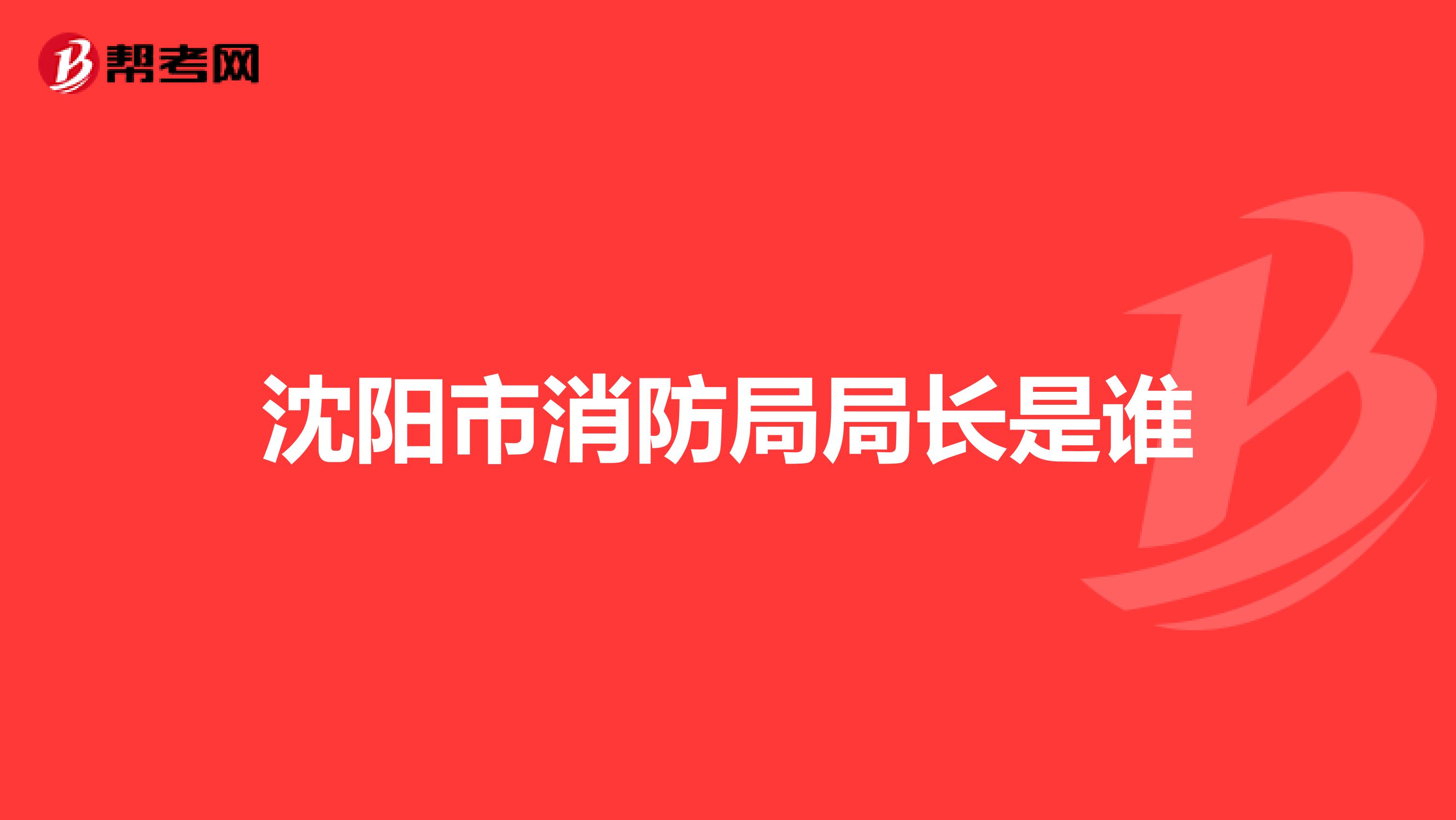 沈阳市消防局局长是谁