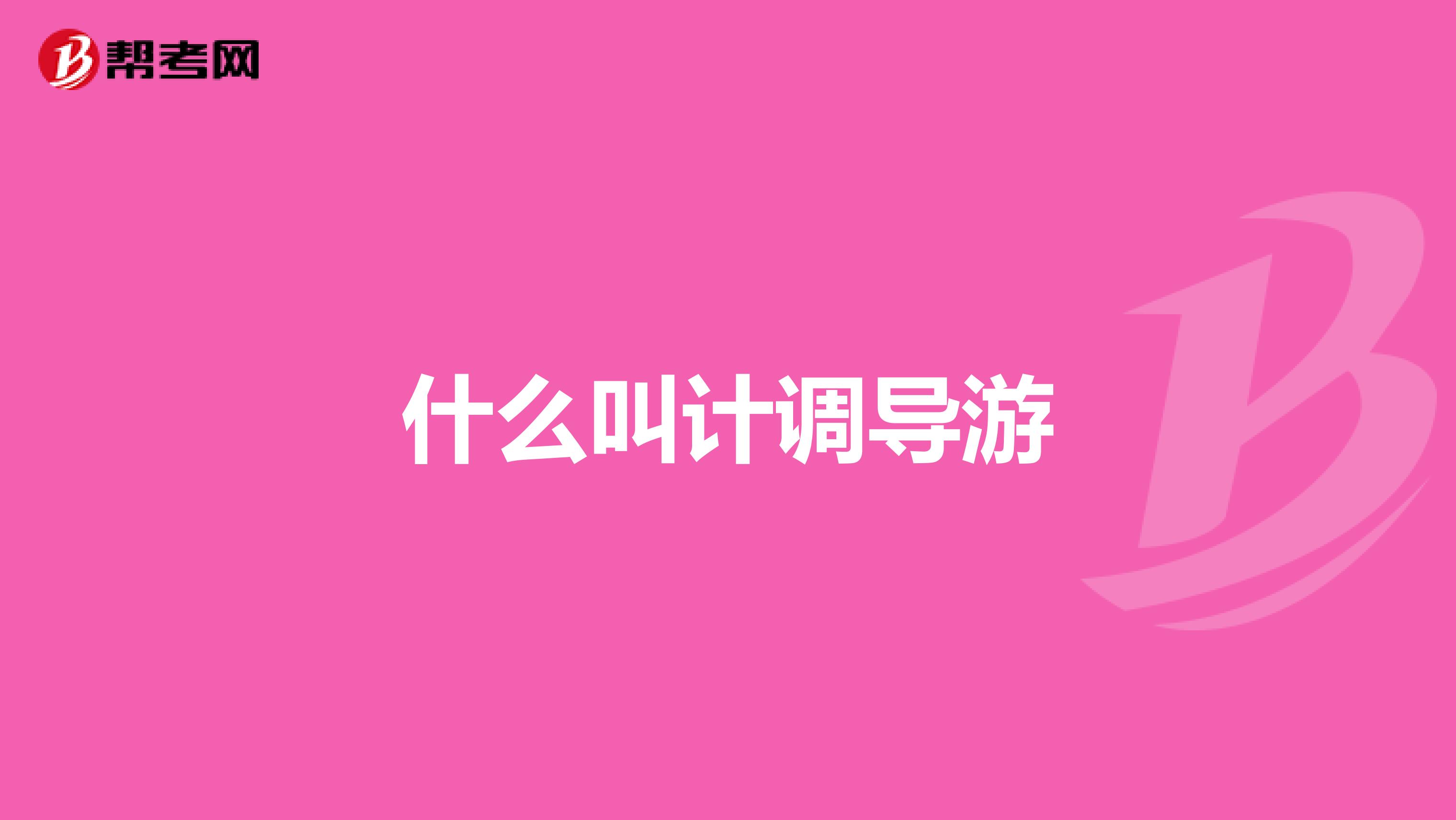 什么叫计调导游