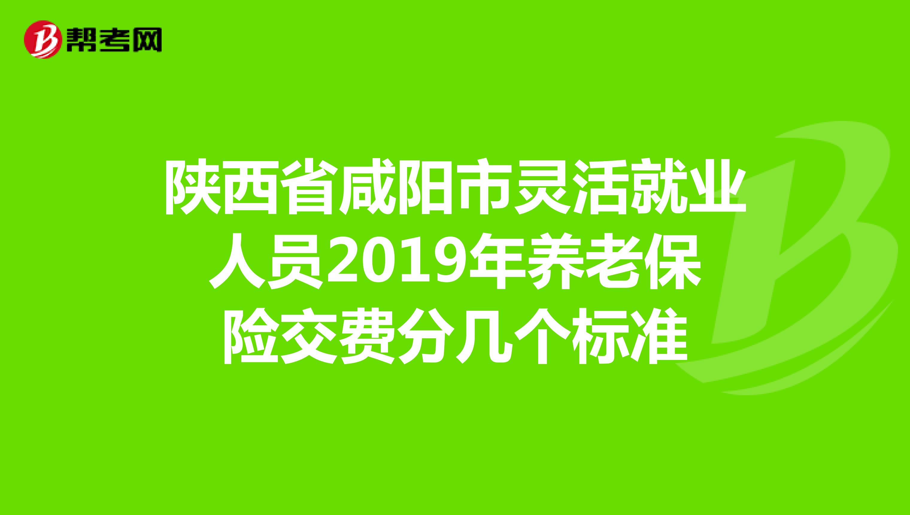 陕西省咸阳市灵活就业人员2019年养老保险交费分几个标准