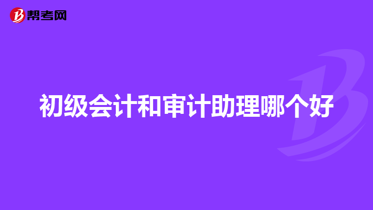 初级会计和审计助理哪个好