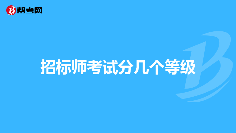 招标师考试分几个等级